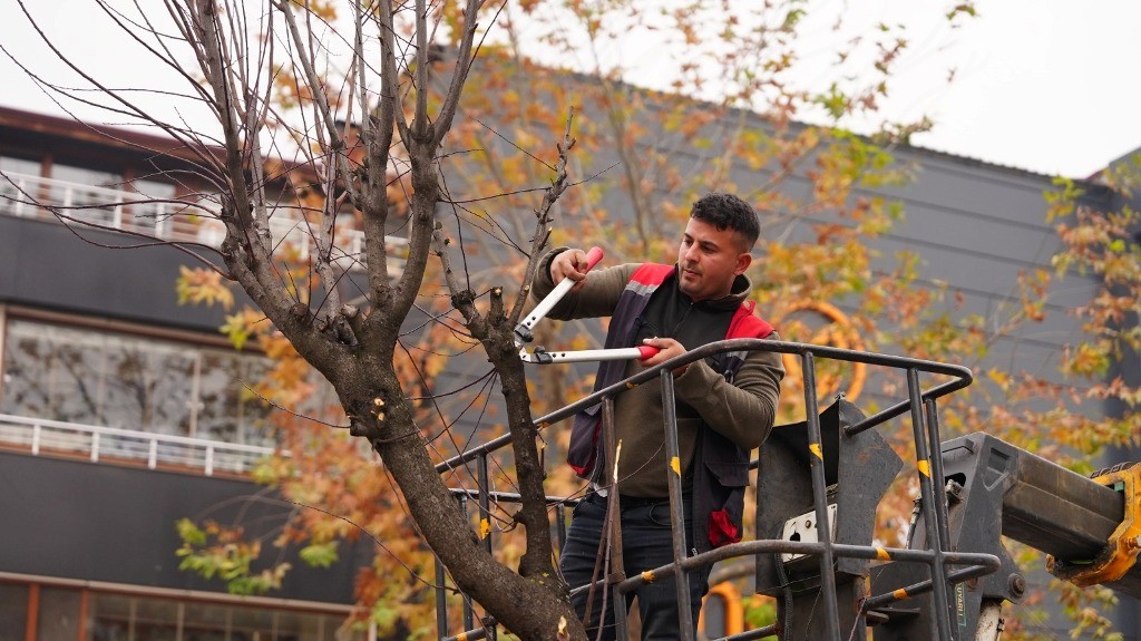 Düzce’nin park ve bahçeleri onlara emanet
