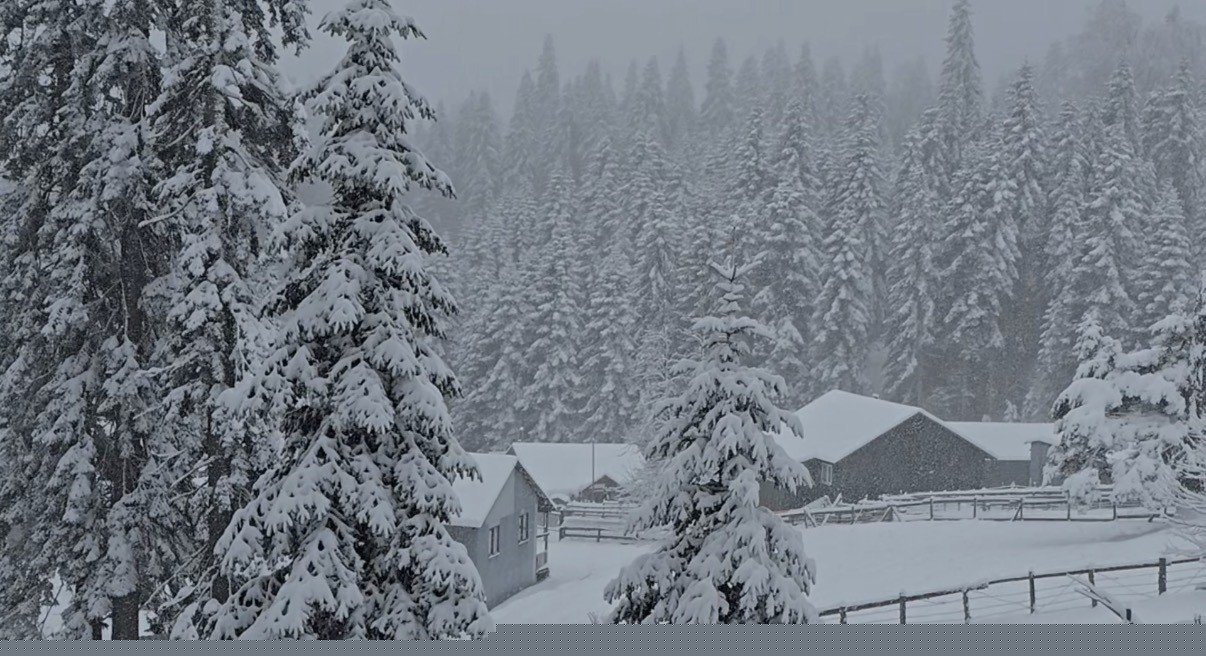 Düzce’nin yüksek kesimleri beyaza büründü: Kar kalınlığı 40 santimetreye ulaştı
