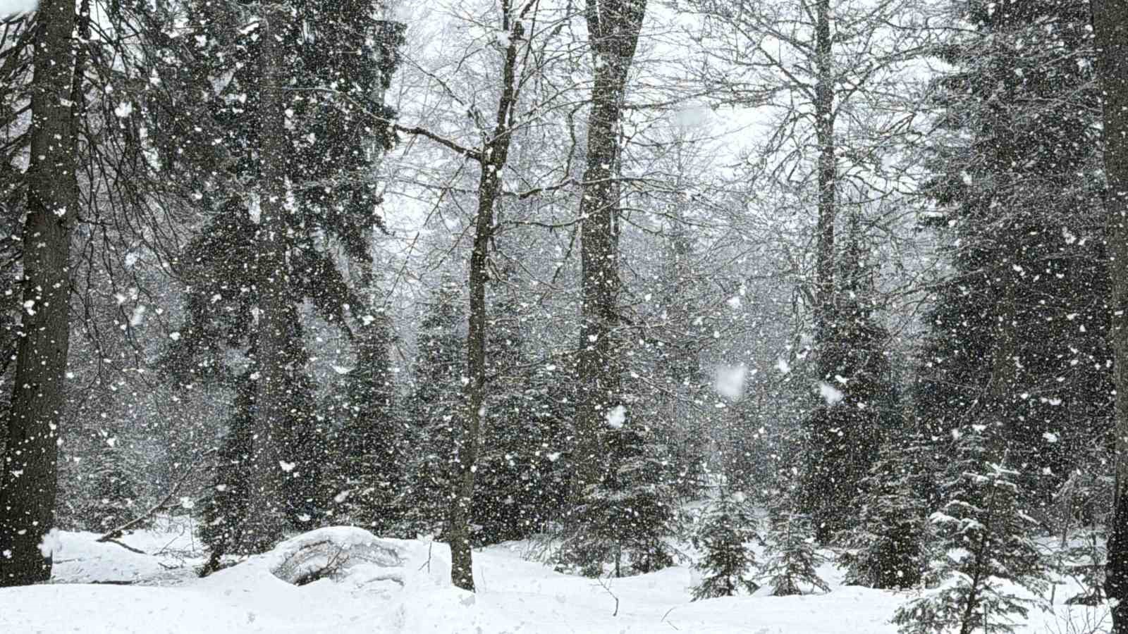 Düzce’nin yüksek kesimlerinde kar kalınlığı 1 metreyi buldu
