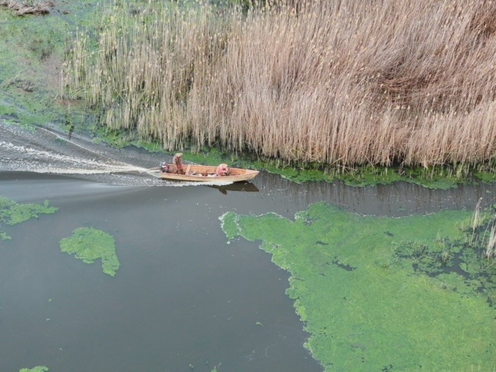 Eber Gölü’nde kaçak avlanan 4 kişi dron ile tespit edildi
