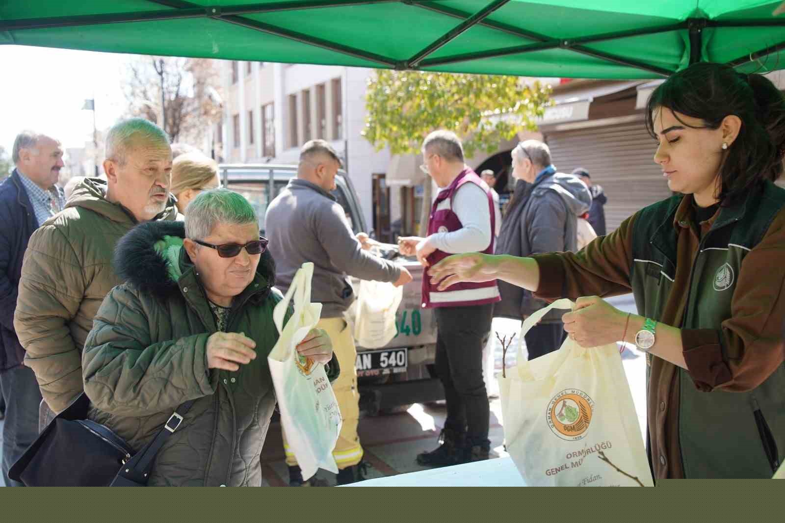 Edirne’de 3 bin ıhlamur fidanı toprakla buluşacak
