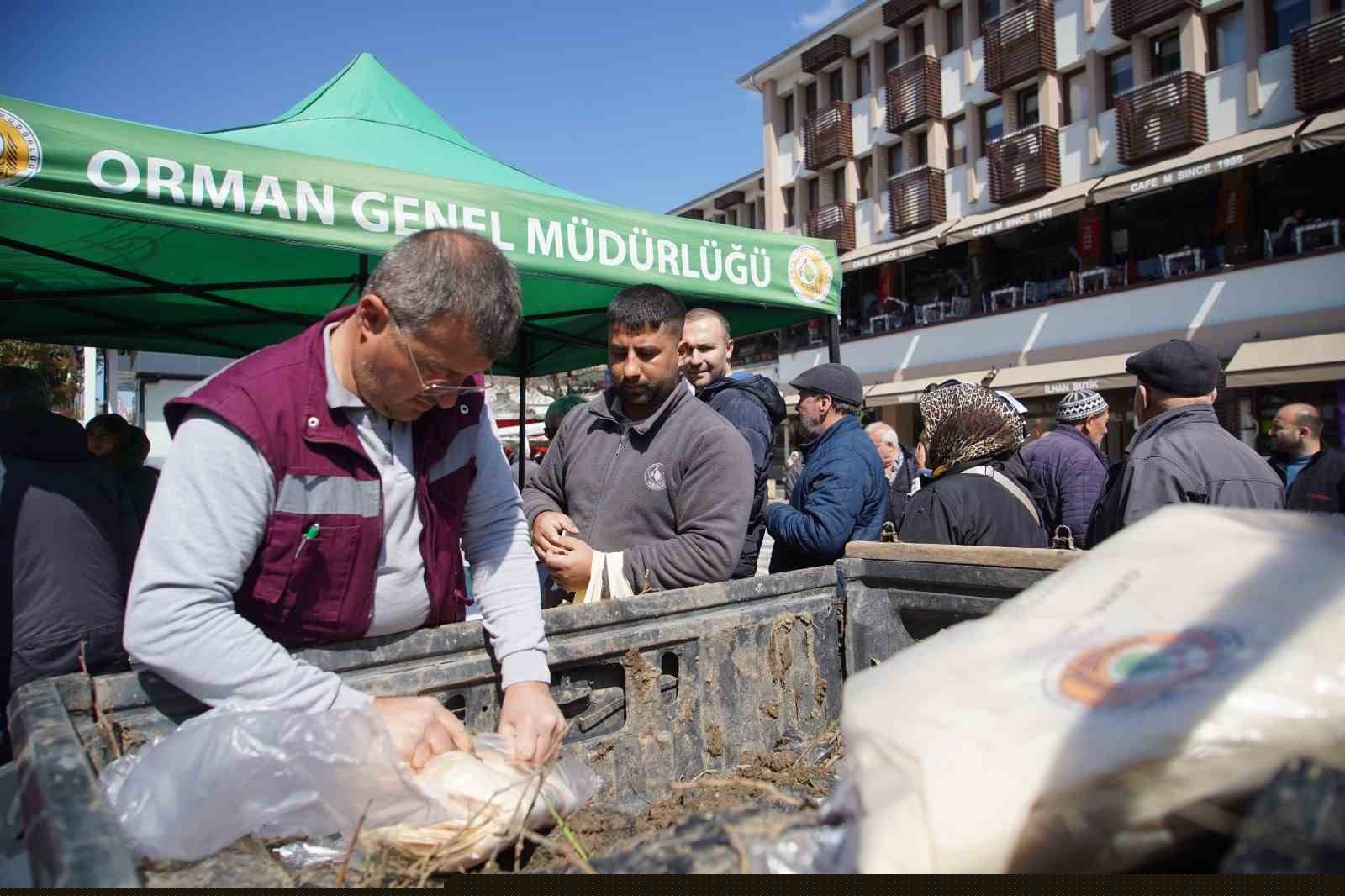 Edirne’de 3 bin ıhlamur fidanı toprakla buluşacak
