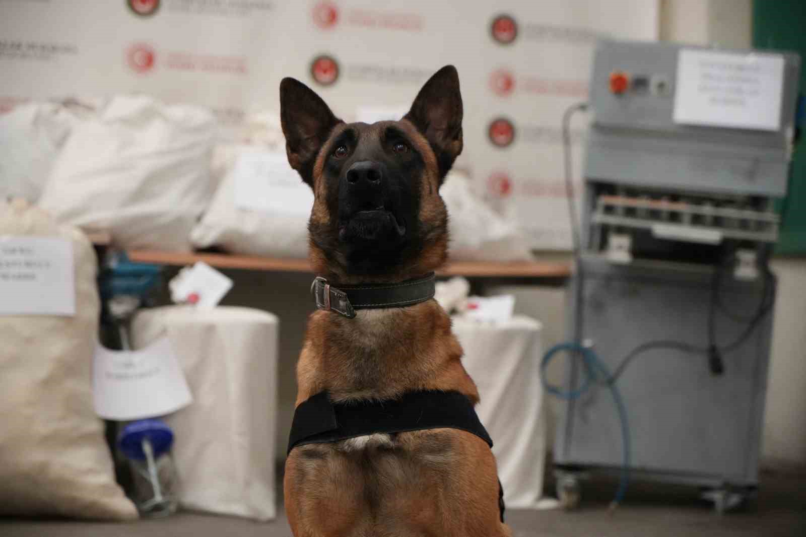 Edirne’de evini uyuşturucu imalathanesine çevirmiş: Operasyonda 117 kilo uyuşturucu ele geçirildi
Edirne’de evini uyuşturucu imalathanesine çevirmiş: Operasyonda 117 kilo uyuşturucu ele geçirildi