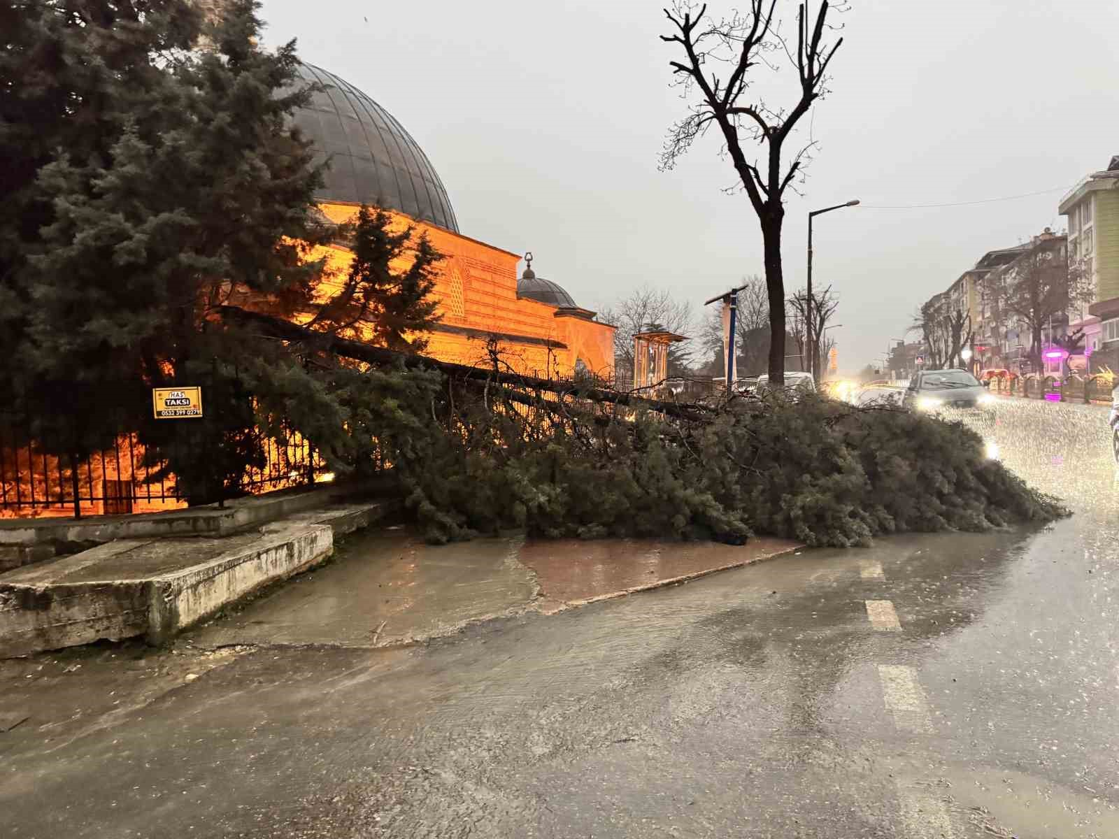 Edirne’de fırtına ağaçları devirdi
