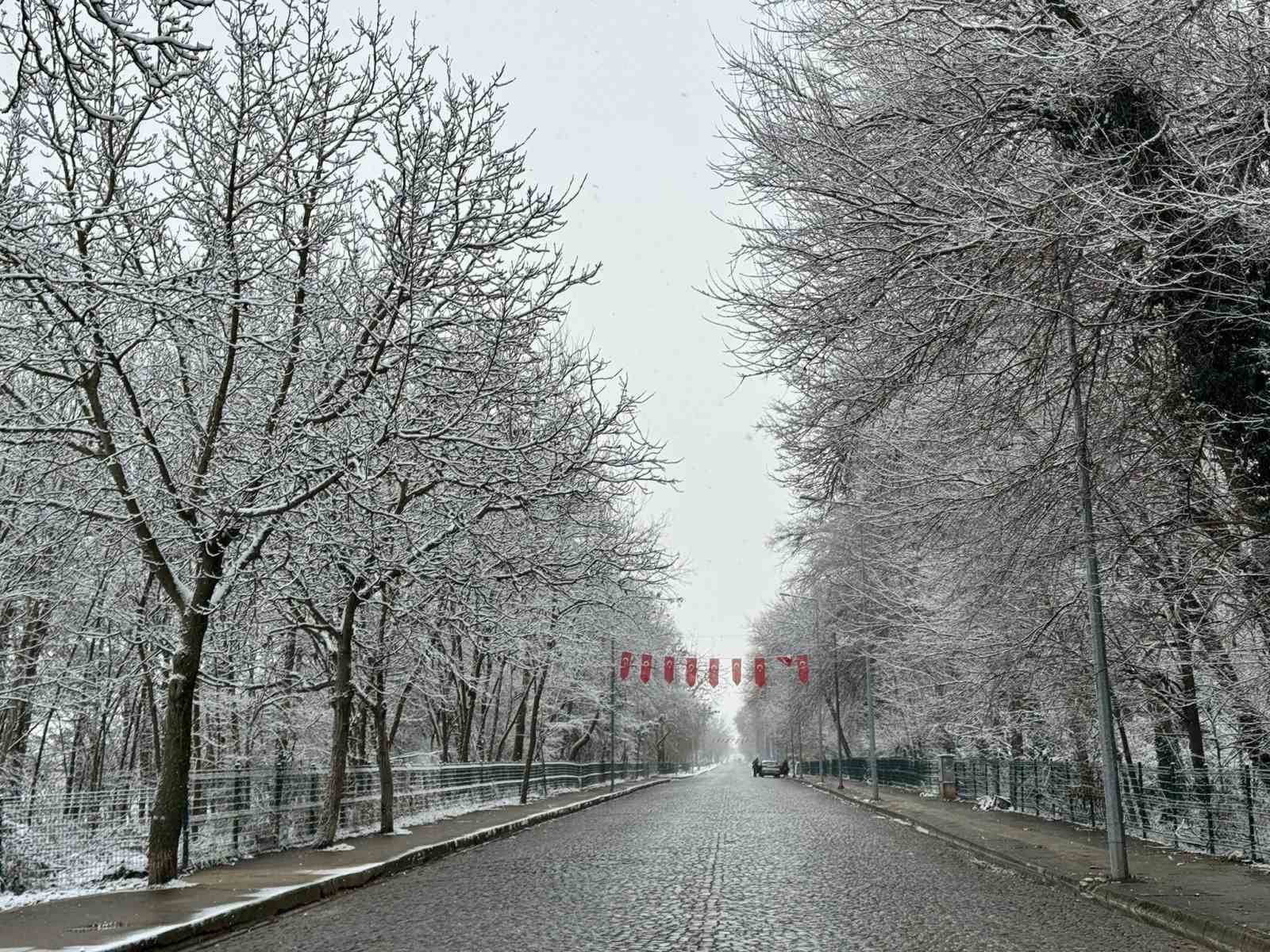 Edirne’de kar yağışı kartpostallık görüntüler oluşturdu
