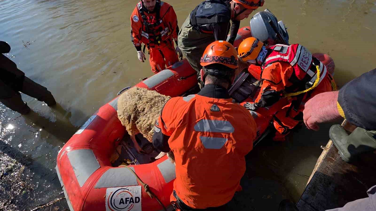 Edirne’de koyunlar botlarla kurtarıldı
