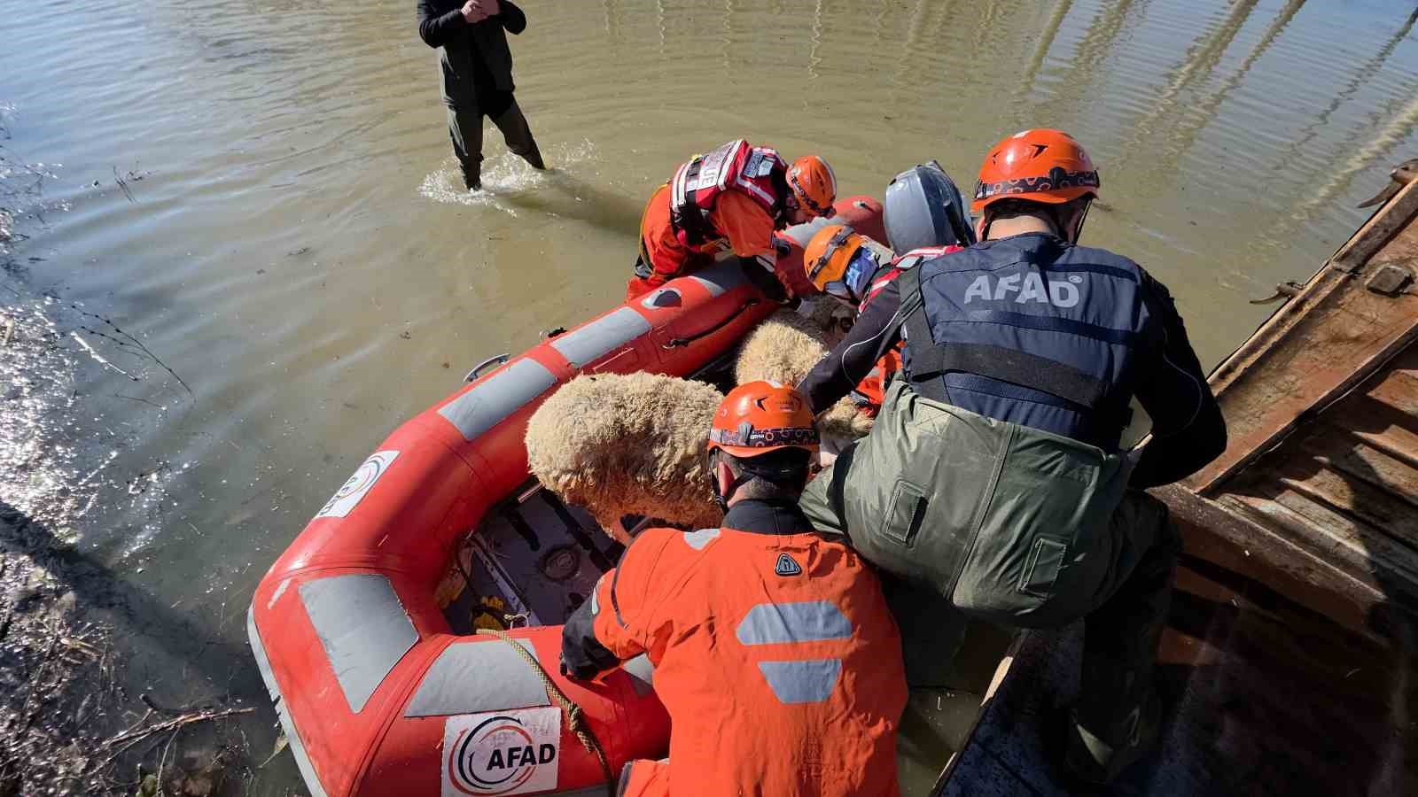 Edirne’de koyunlar botlarla kurtarıldı
