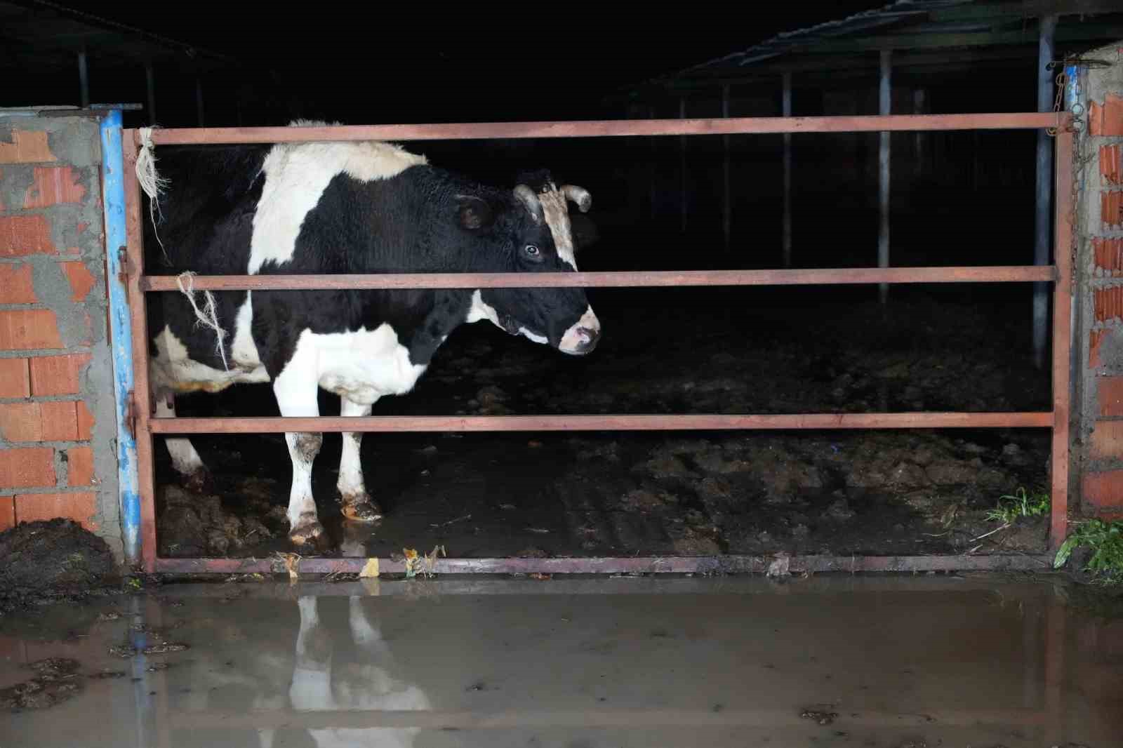 Edirne’de sağanak su baskınlarına yol açtı

