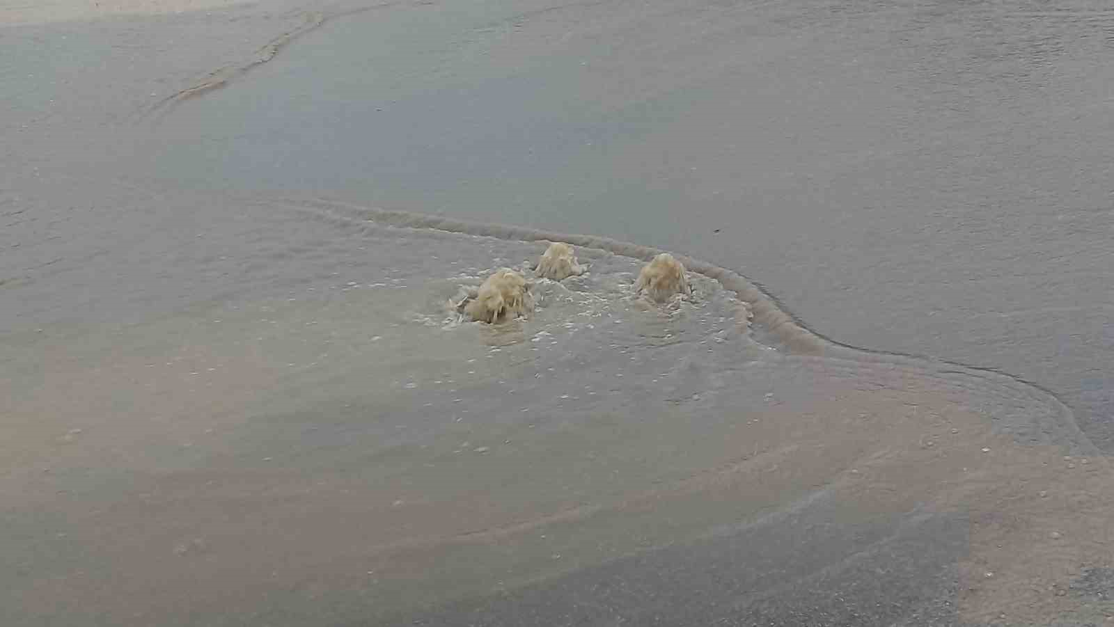 Edirne’de sağanak yağış: Cadde ve sokaklar göle döndü
