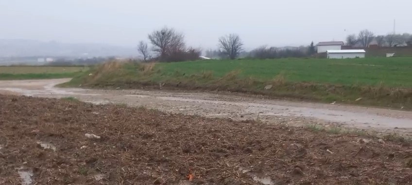 Edirneli çiftçinin kurak yılların ardından bereketli sezon umudu
