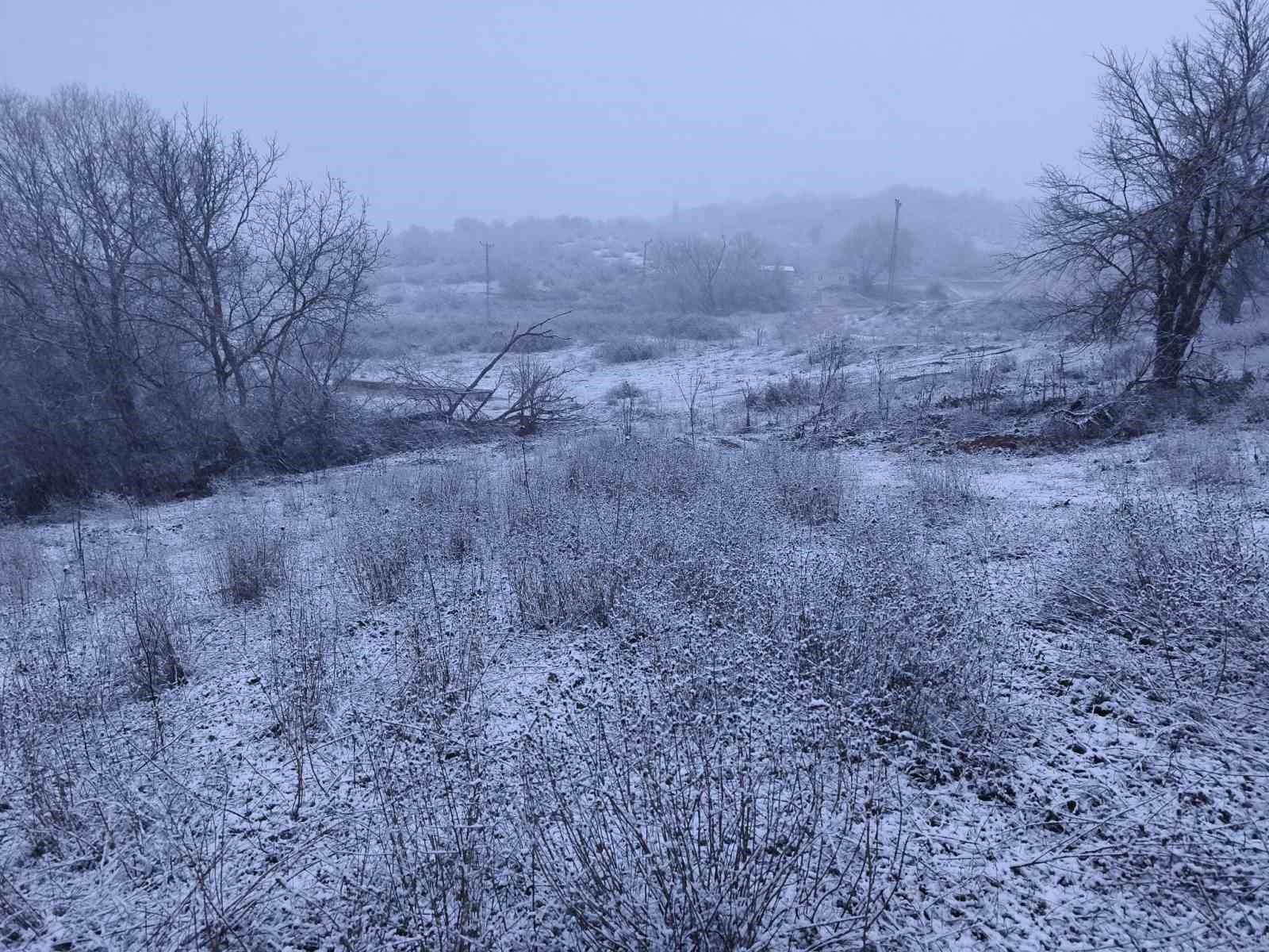 Edirne’nin Hamzabeyli köyünde kar yağışı başladı
