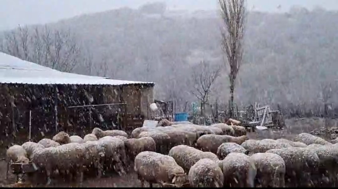 Edirne’nin Hamzabeyli köyünde kar yağışı başladı
