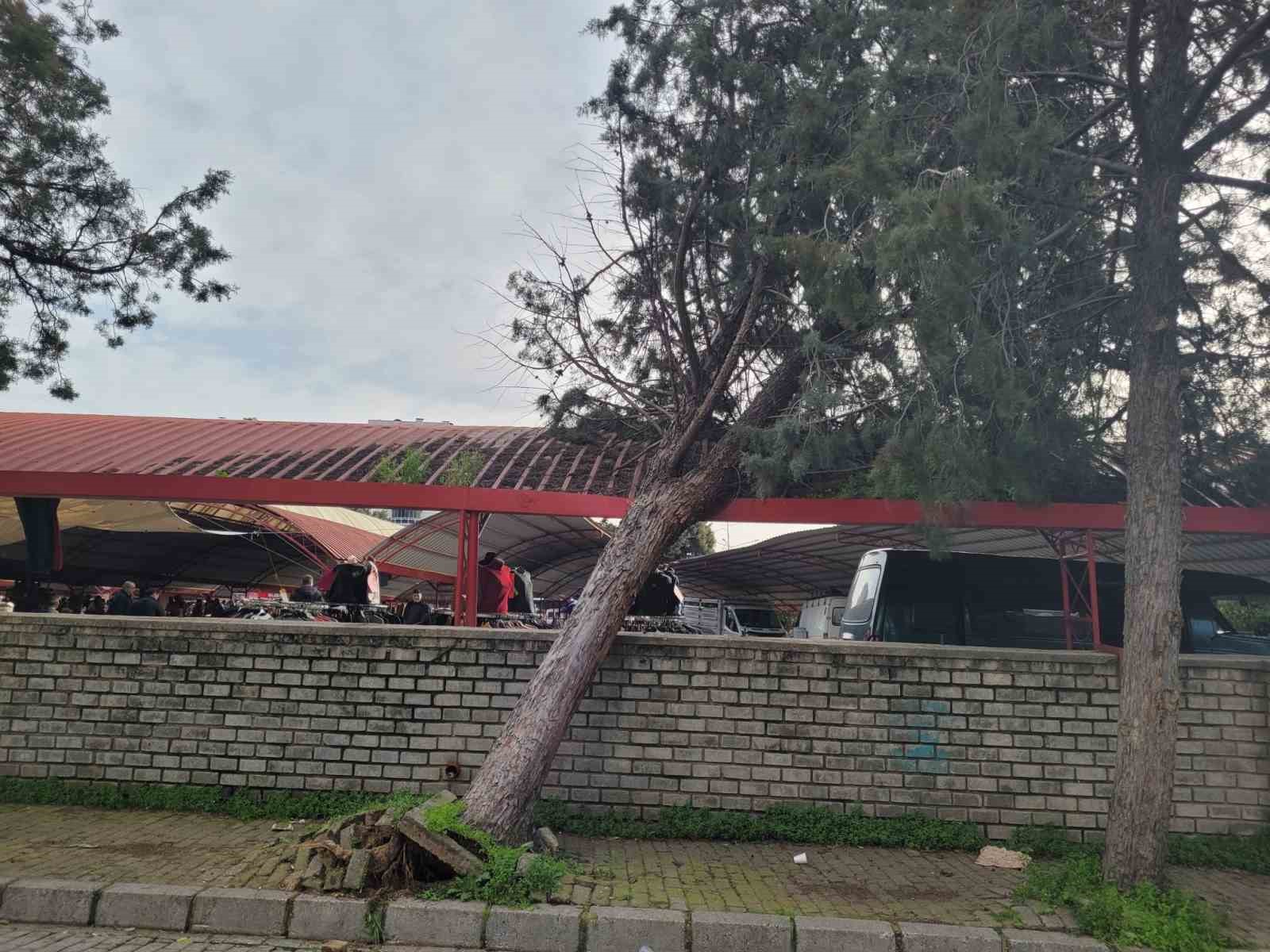 Efekent Pazaryeri’nde rüzgar ağacı devirdi
