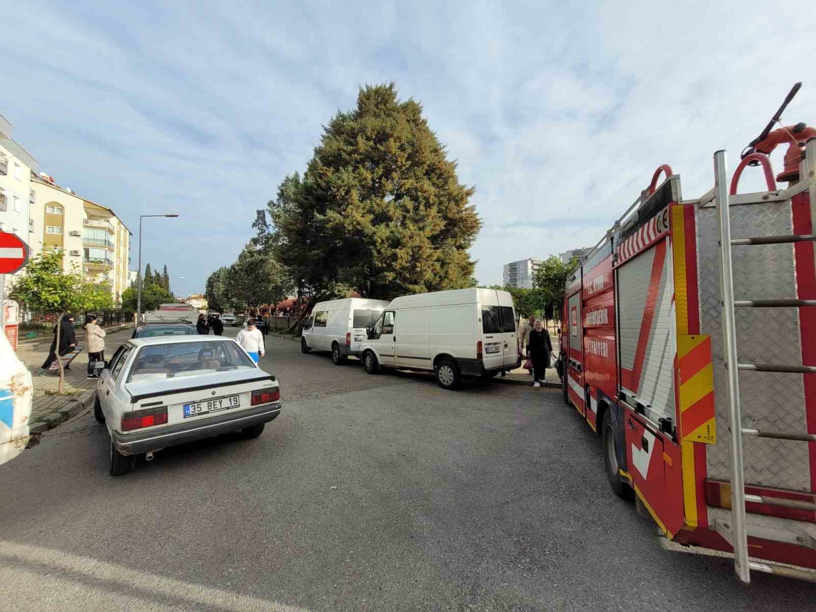 Efekent Pazaryeri’nde rüzgar ağacı devirdi
