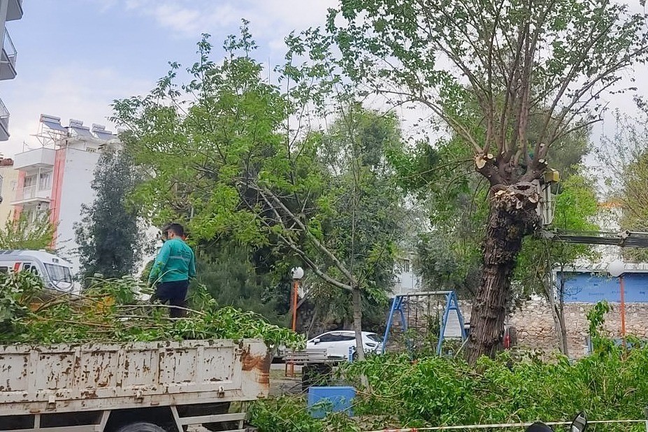 Efeler Belediyesi ekipleri kent genelinde çalışmalarını sürdürüyor
