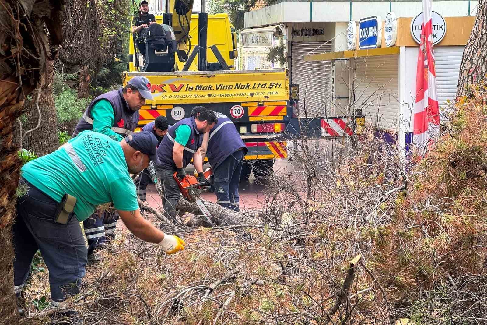 Efeler Belediyesi parkları güvenli hale getiriyor
