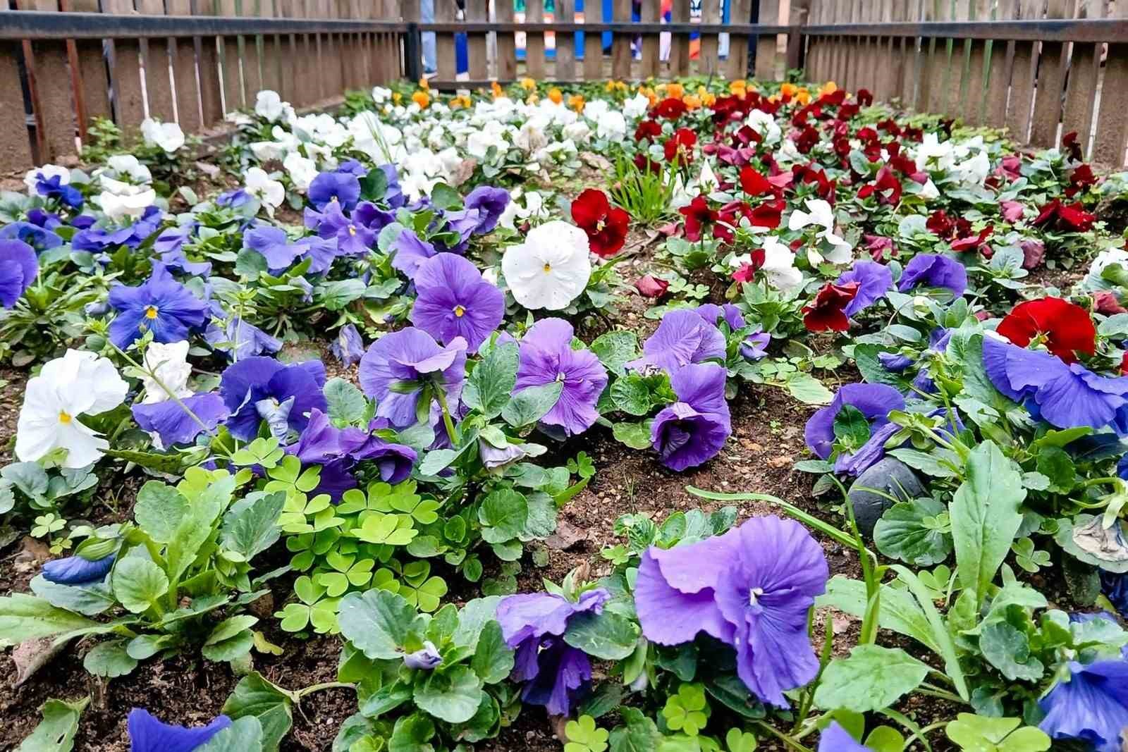 Efeler Belediyesi’nden çiçek düzenlemesi
