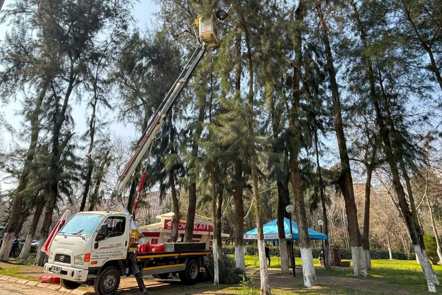 Efeler’de Pınarbaşı Mesire Alanı bakıma alındı
