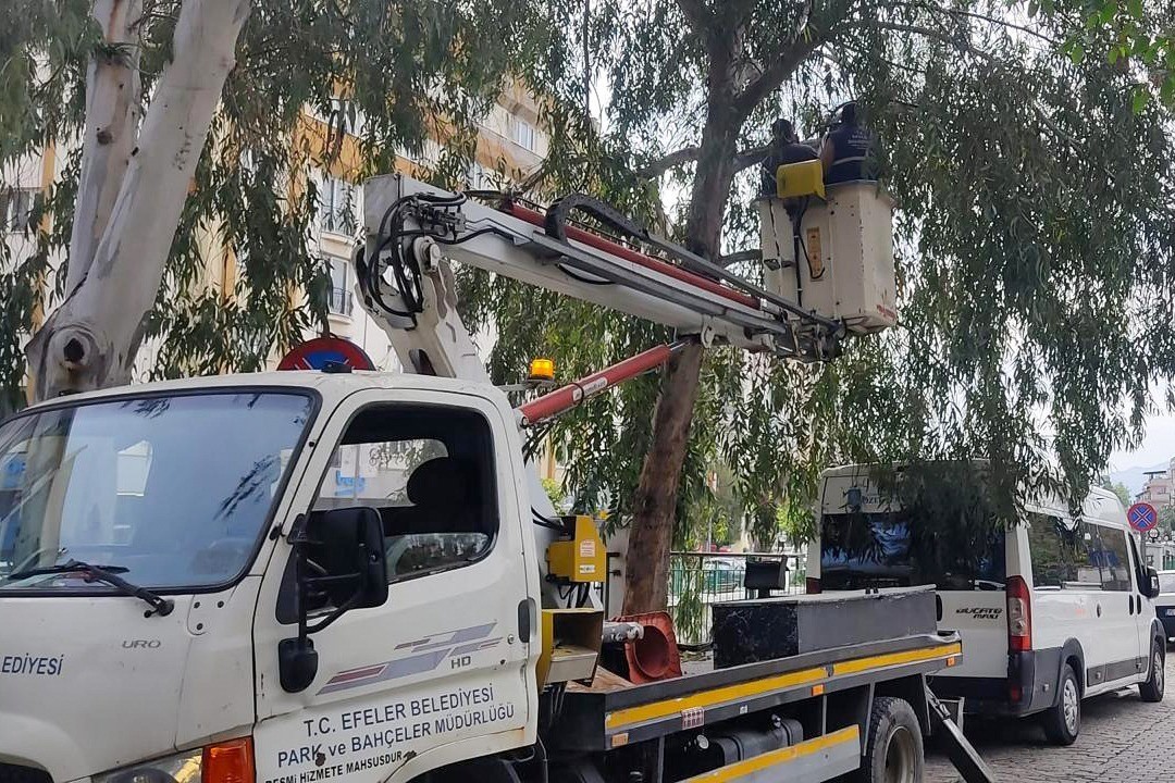 Efeler’in her noktasında çalışmalar sürüyor
