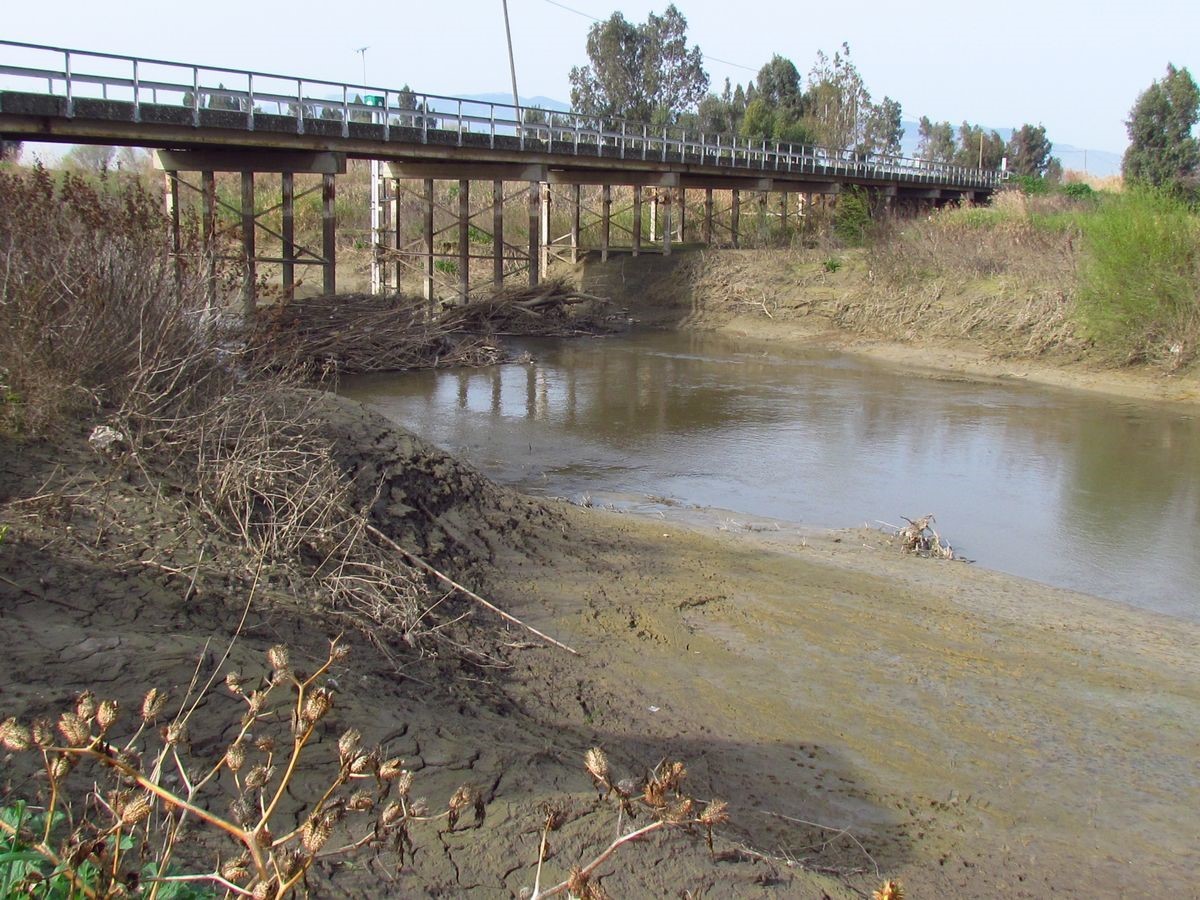 EKODOSD Başkanı Sürücü: "Söke Ovası antik dönemdeki deniz görünümüne döndü"
