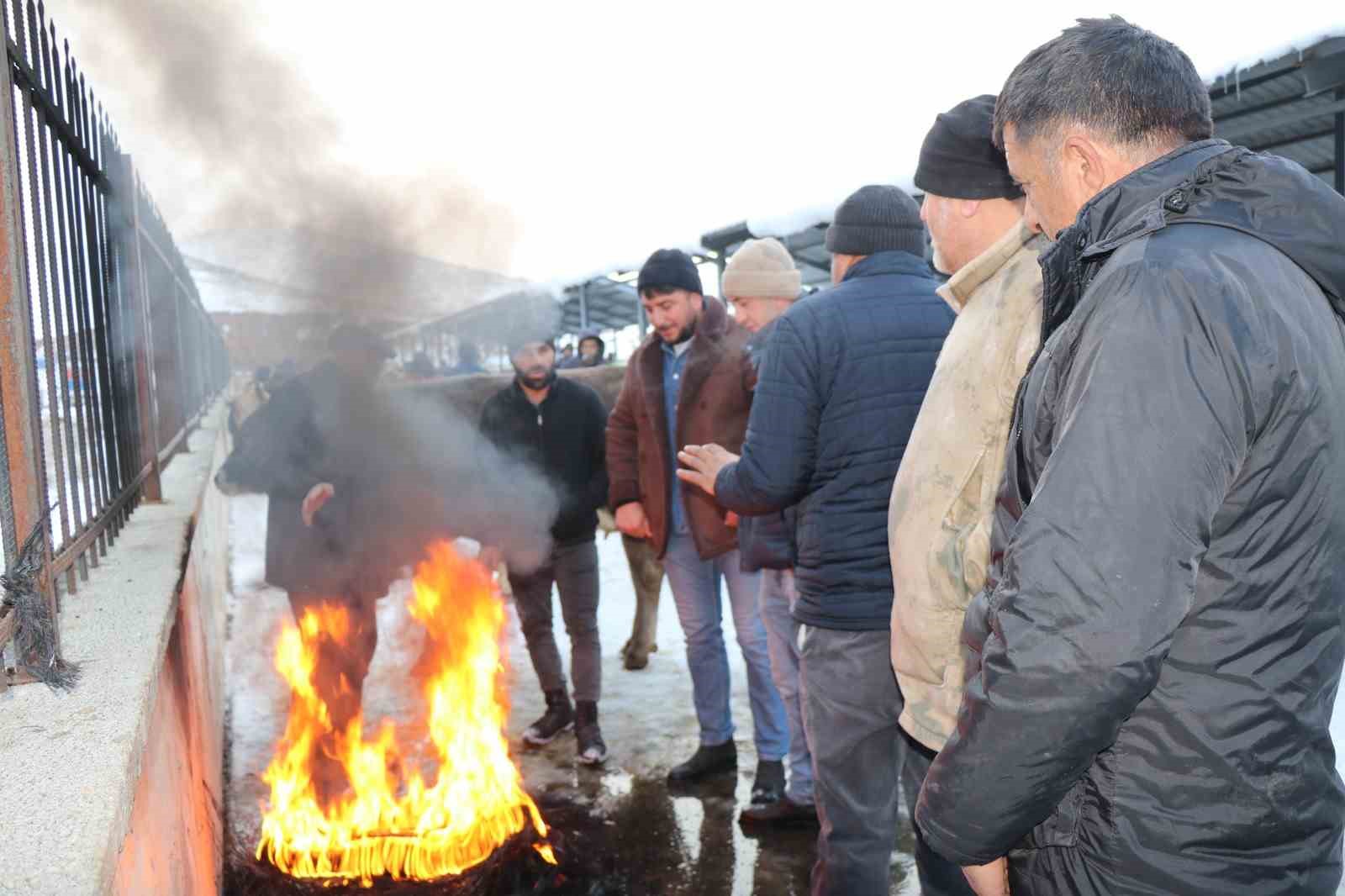 Eksi 15’de hayvan pazarı kuruldu
