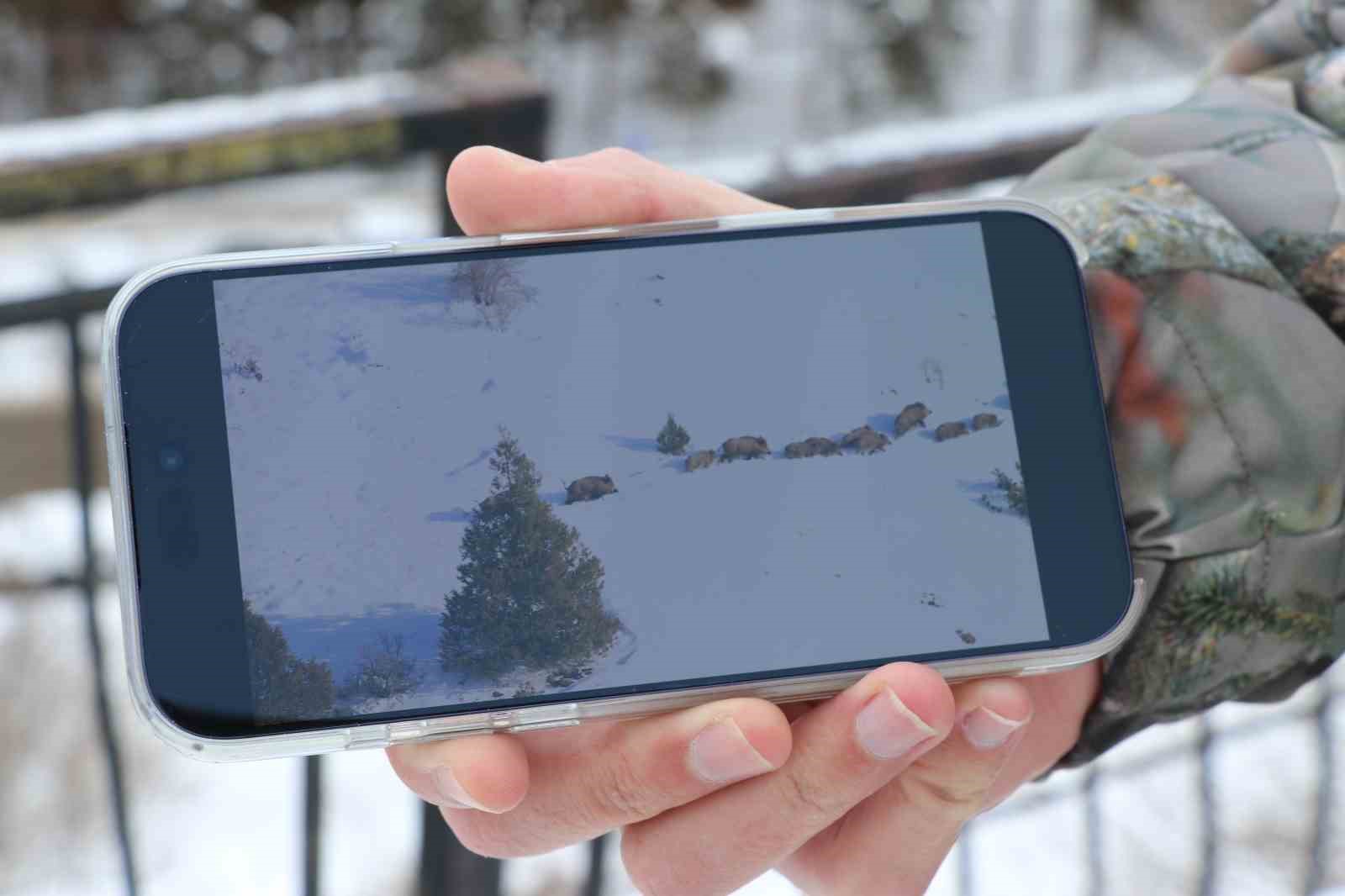 Eksi 20 derecede sürü halinde suya girdiler
