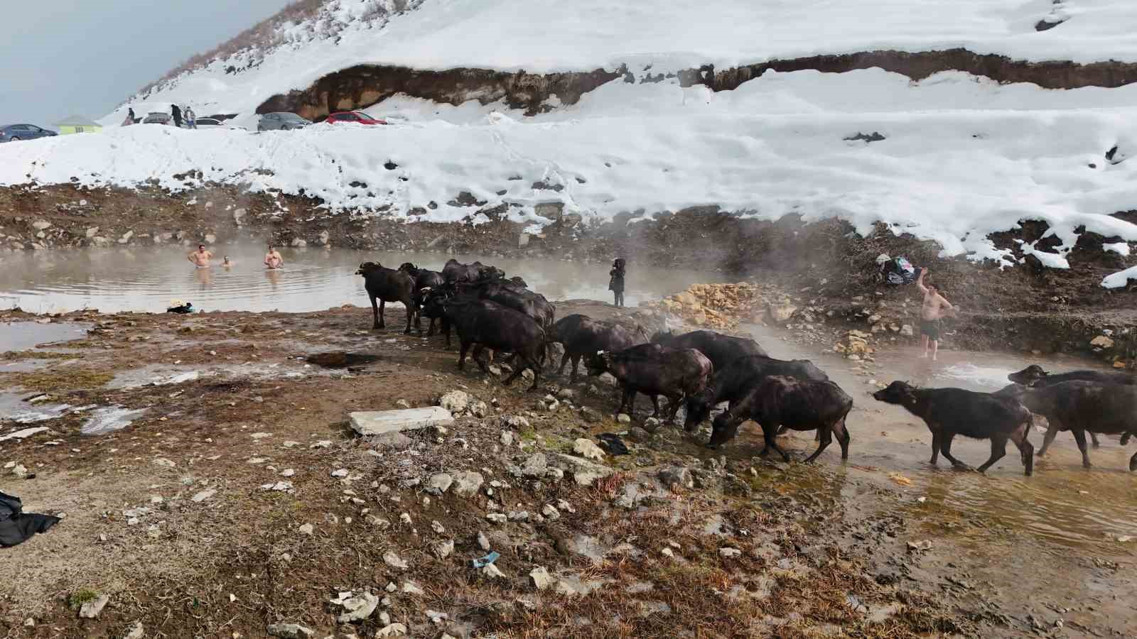 Eksi 25 derecede kaplıca keyfi
Eksi 25 derecede kaplıca keyfi