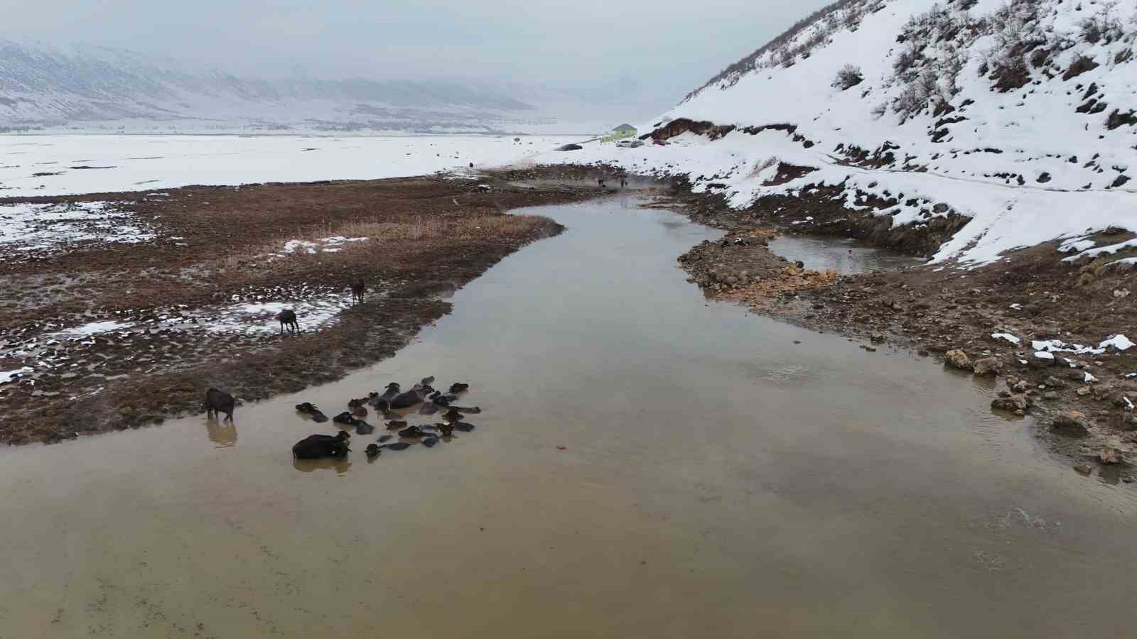 Eksi 25 derecede kaplıca keyfi
Eksi 25 derecede kaplıca keyfi