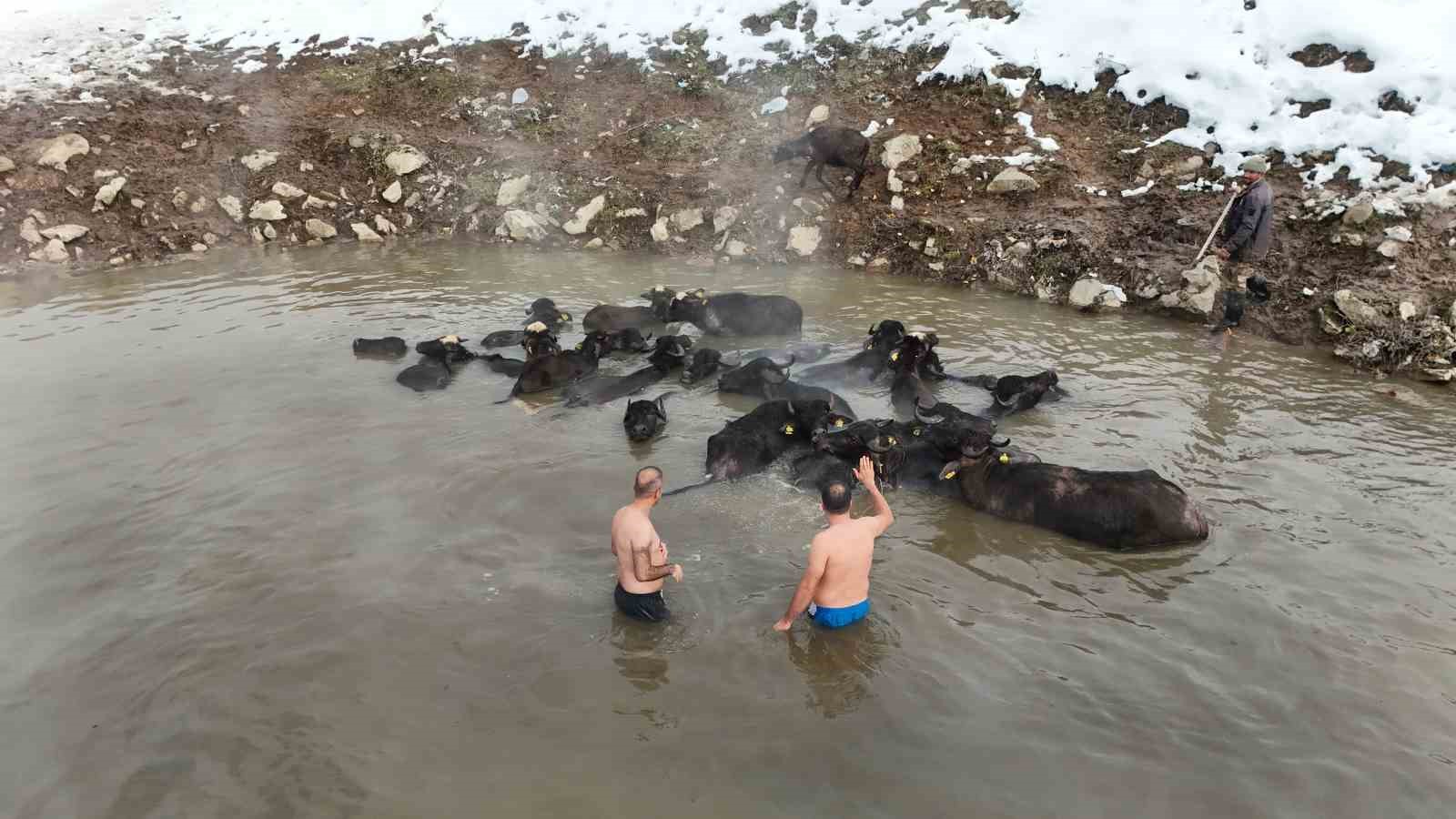 Eksi 25 derecede kaplıca keyfi
Eksi 25 derecede kaplıca keyfi