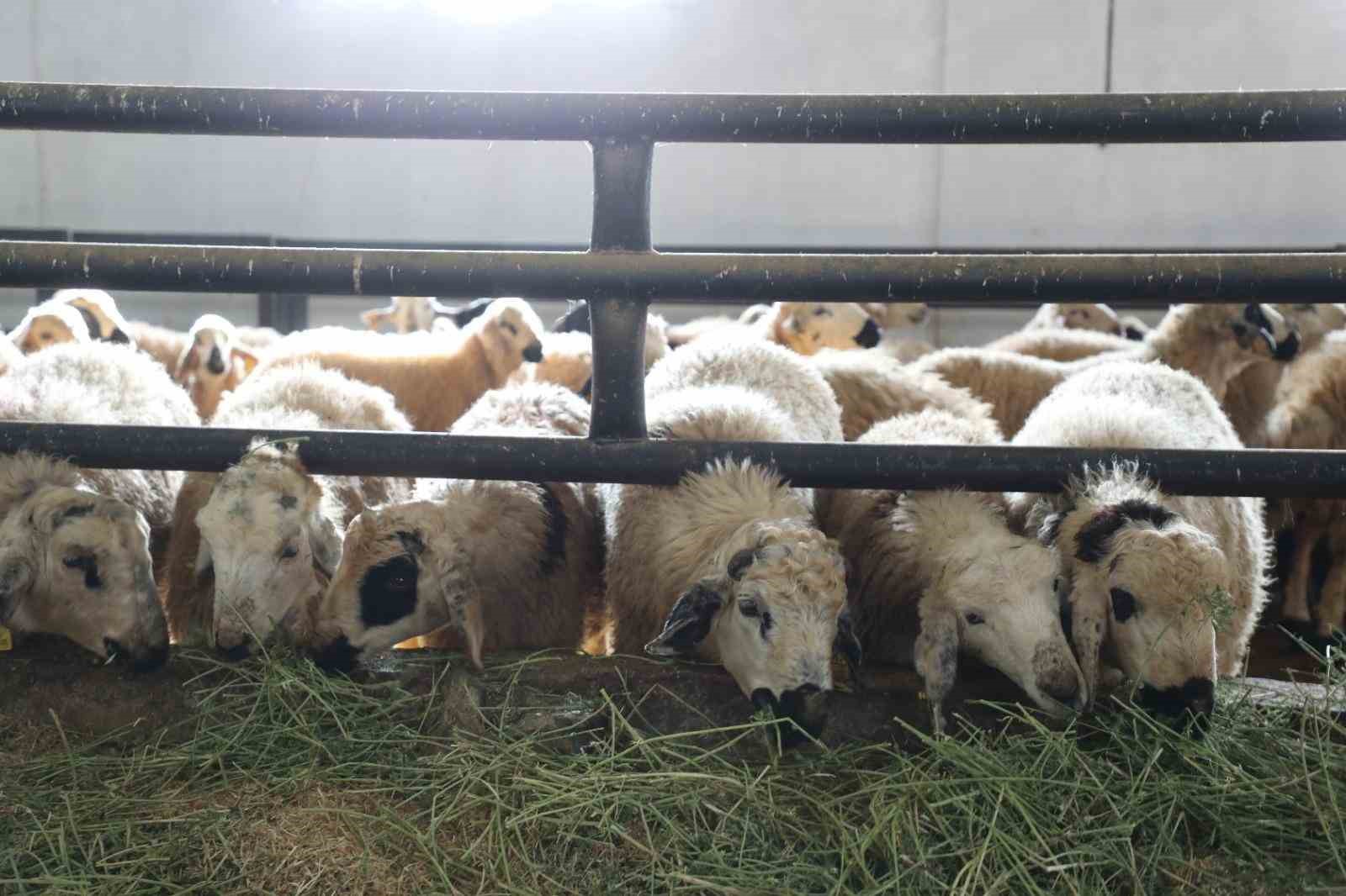 Elazığ’da 6 köy karantinaya alındı
