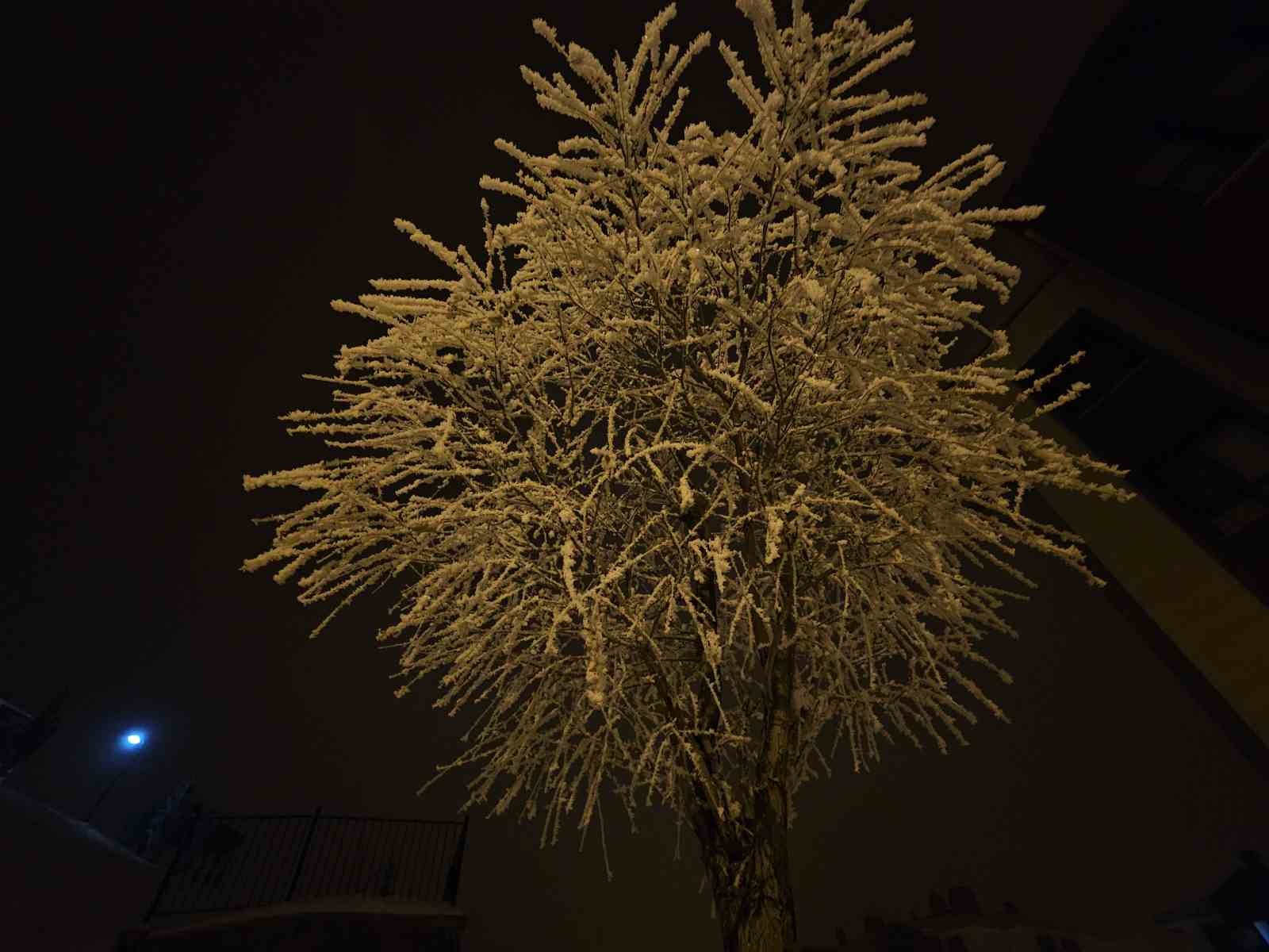 Elazığ’da ağaçlar kırağı tuttu
