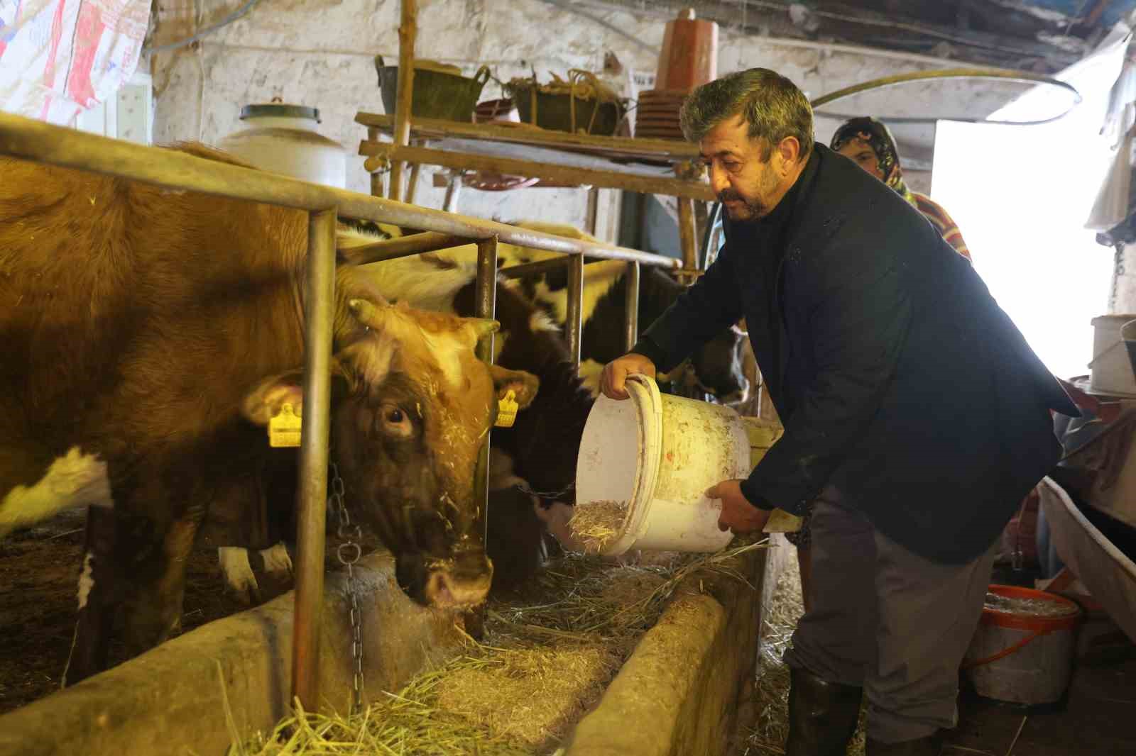 Elazığ’da besicilerin kış mesaisi
