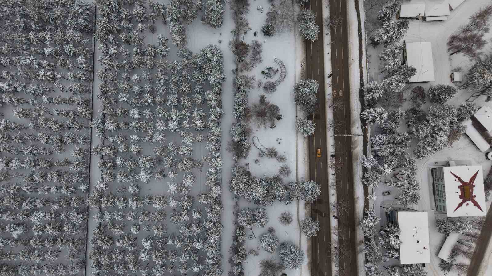 Elazığ’da beton yığınlarının arasındaki beyaz vaha mest etti
