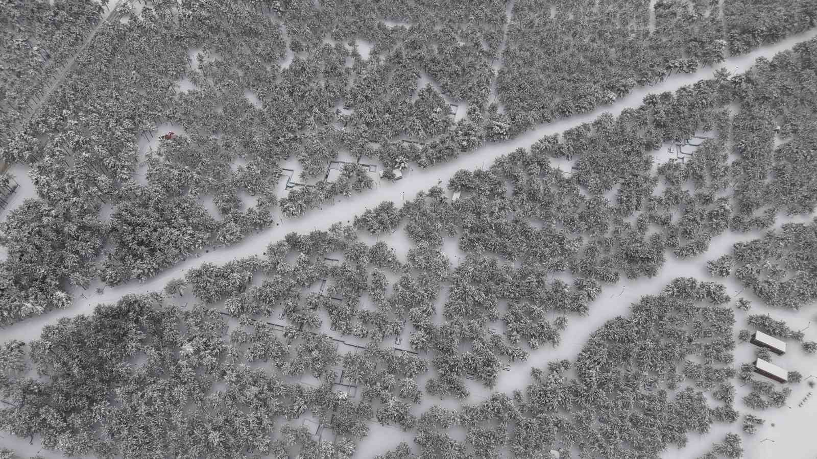 Elazığ’da beton yığınlarının arasındaki beyaz vaha mest etti
