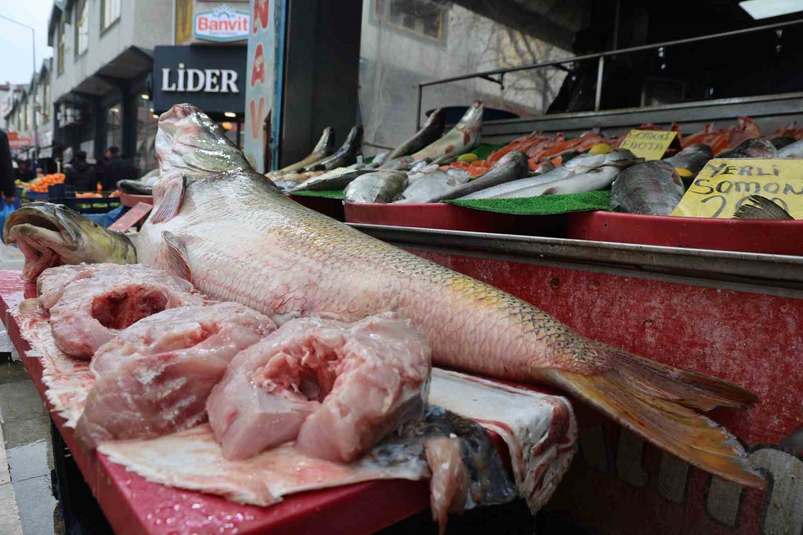 Elazığ’da dev turna  yakalandı
