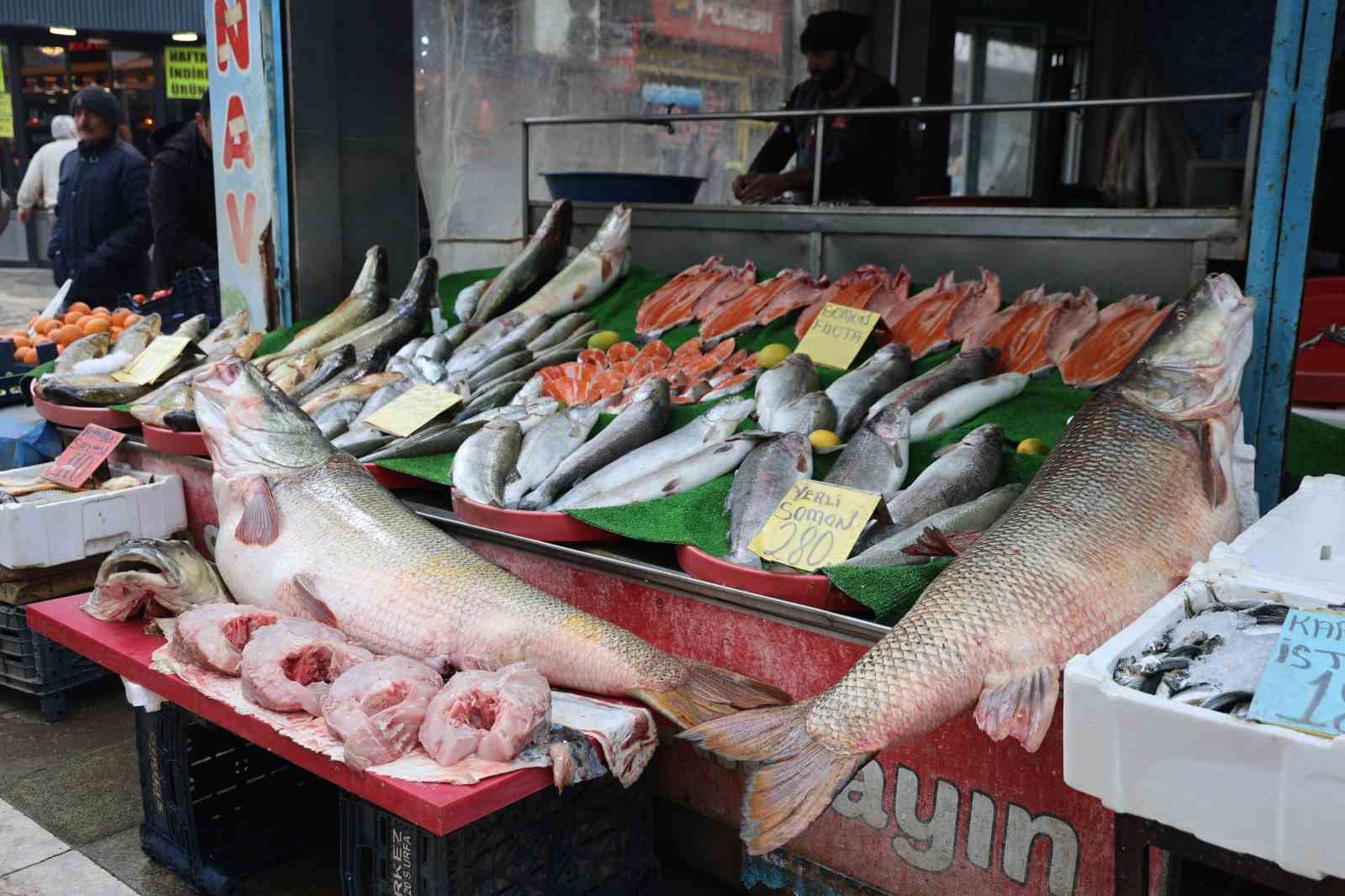 Elazığ’da dev turna  yakalandı
