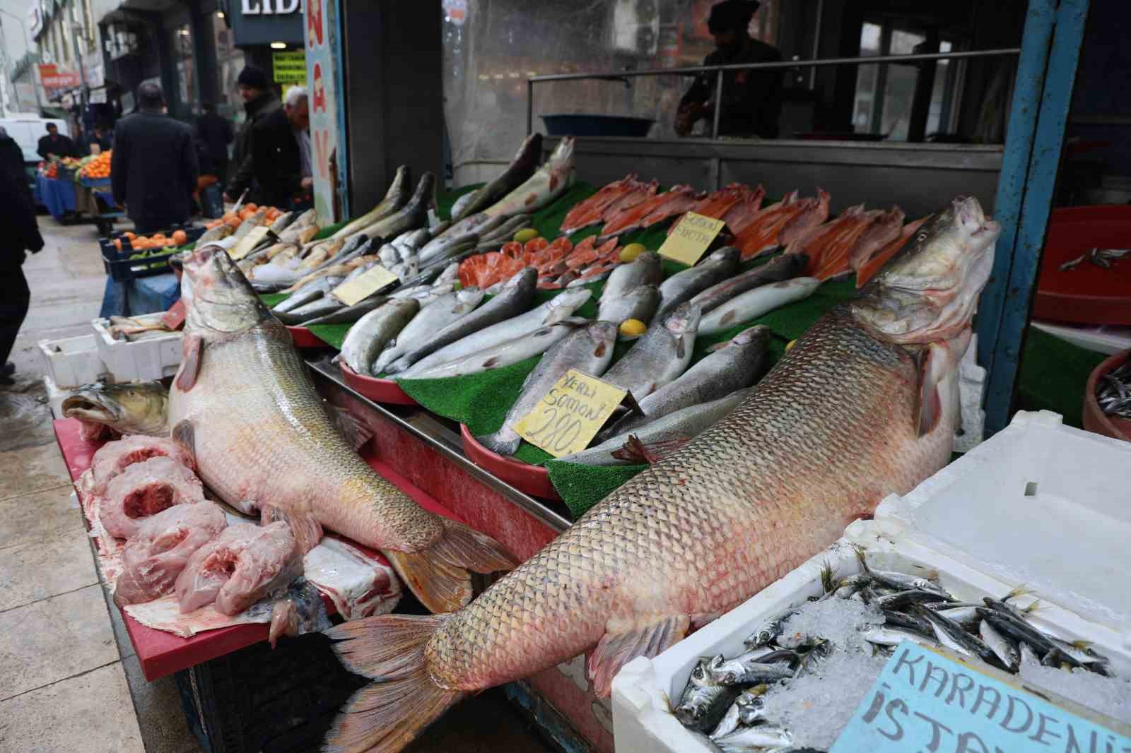 Elazığ’da dev turna  yakalandı
