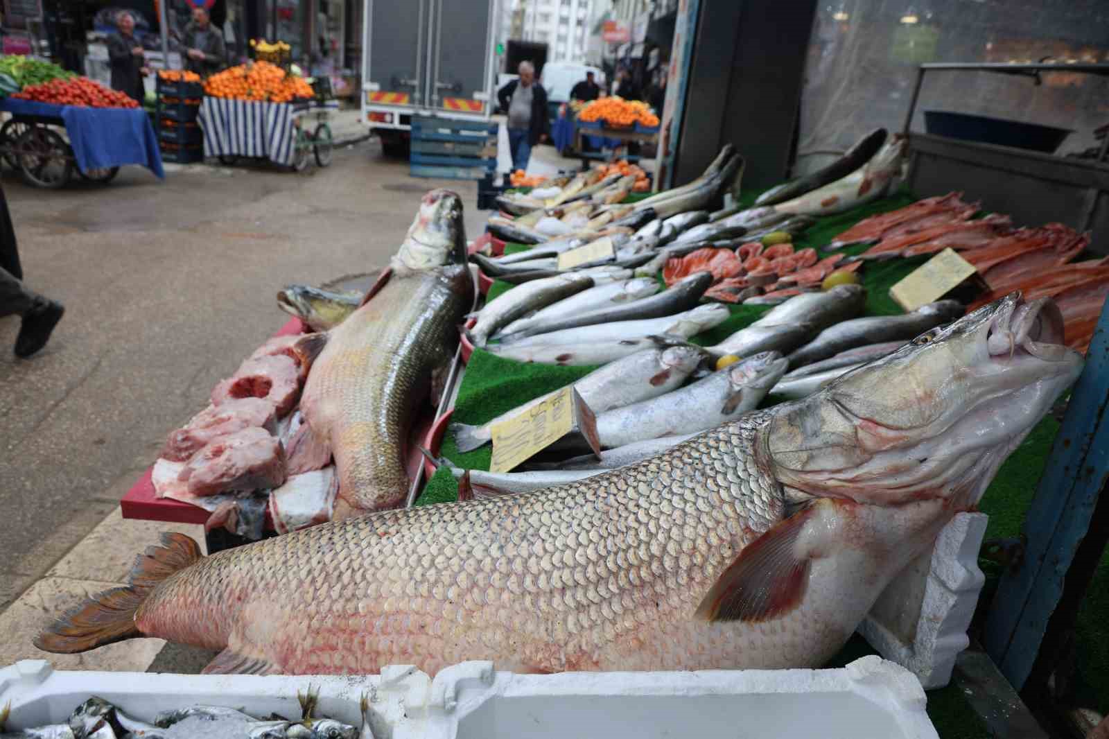 Elazığ’da dev turna  yakalandı
