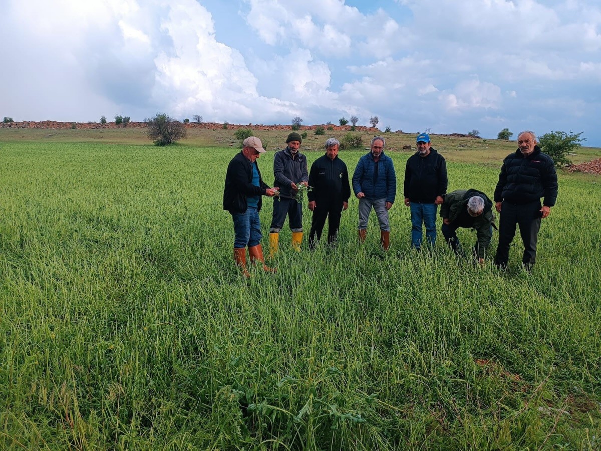 Elazığ’da dolu yağışı sonrası hasar tespit çalışması
