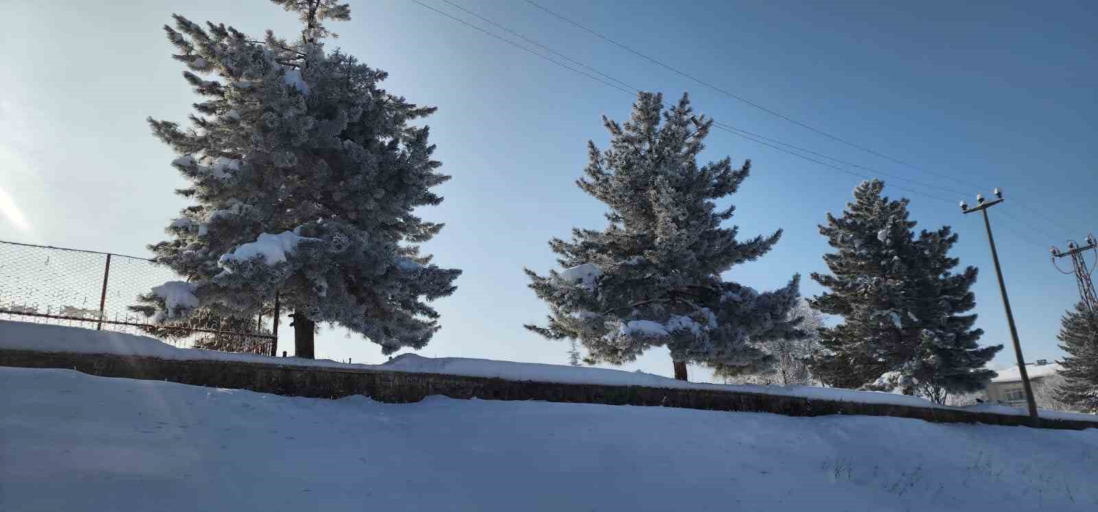 Elazığ’da dondurucu soğuklar: Karakoçan’da termometreler -22’yi gösterdi
