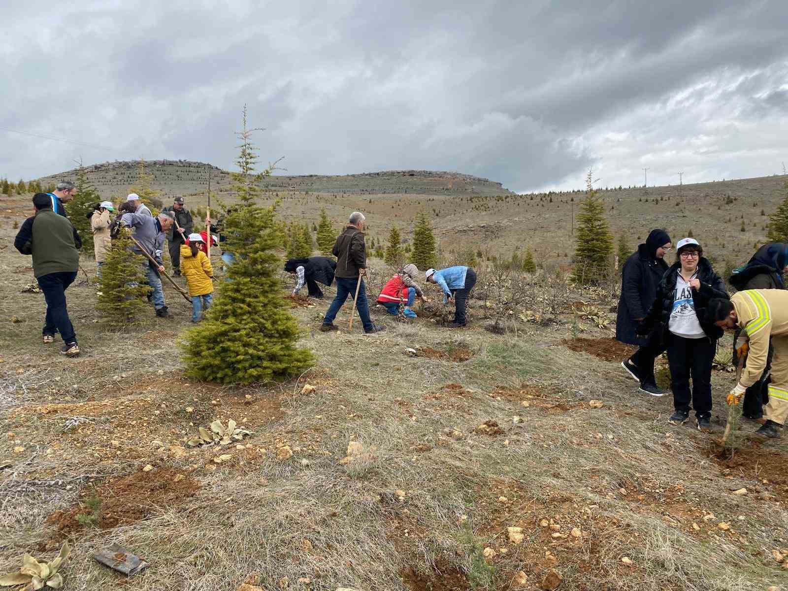 Elazığ’da fidan dikim etkinliği
