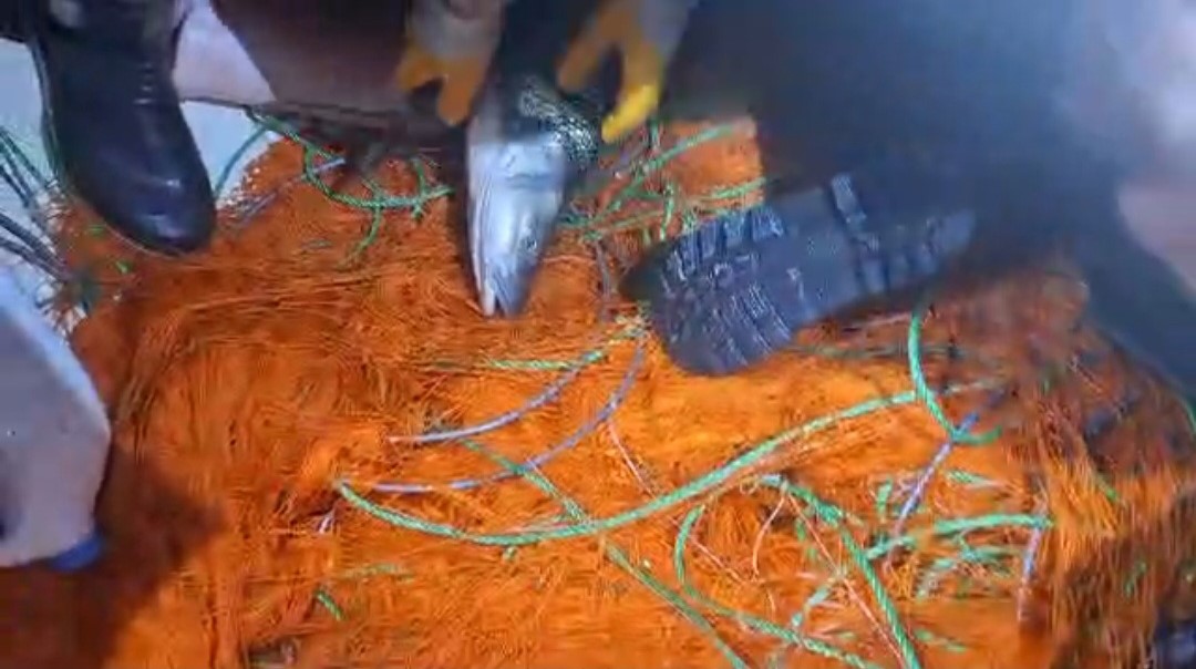 Elazığ’da kaçak avcılara ait 300 metrelik ağ ele geçirildi
