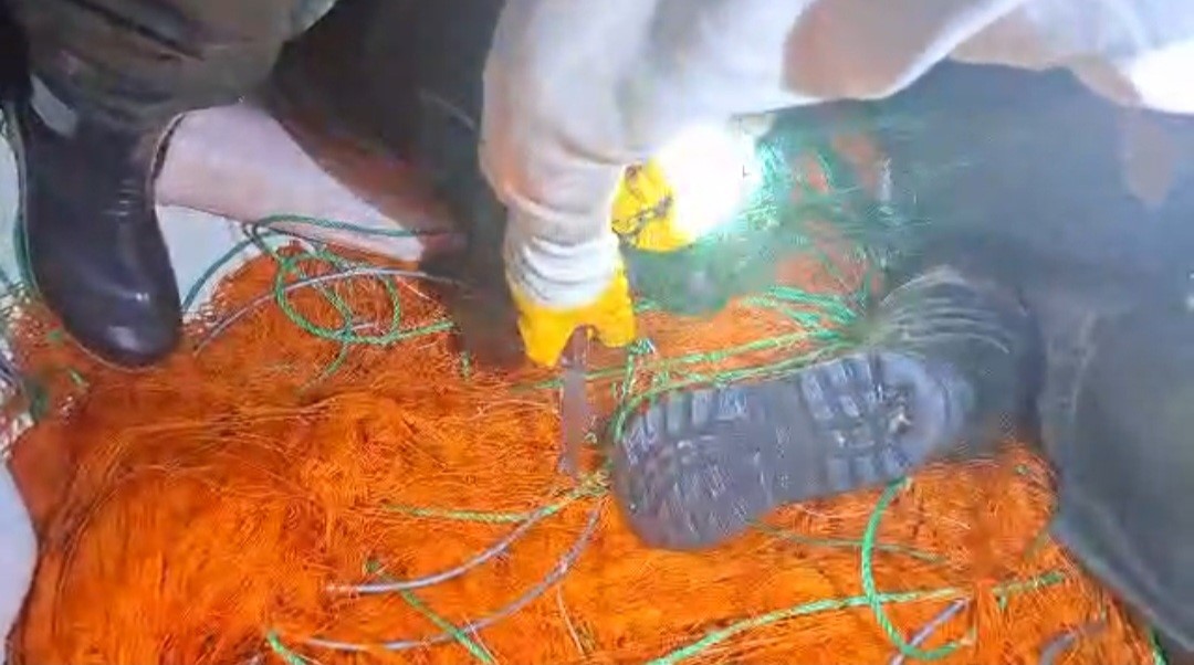 Elazığ’da kaçak avcılara ait 300 metrelik ağ ele geçirildi
