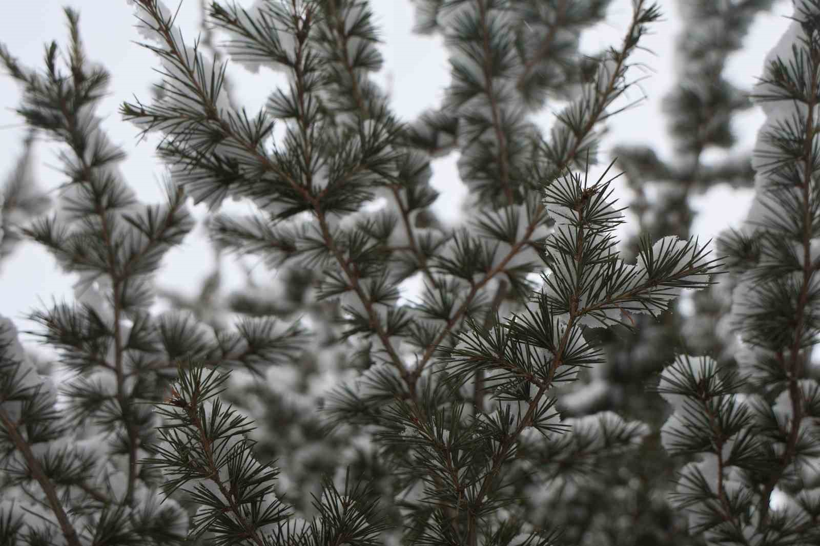 Elazığ’da kar yağışı etkisini sürdürüyor
