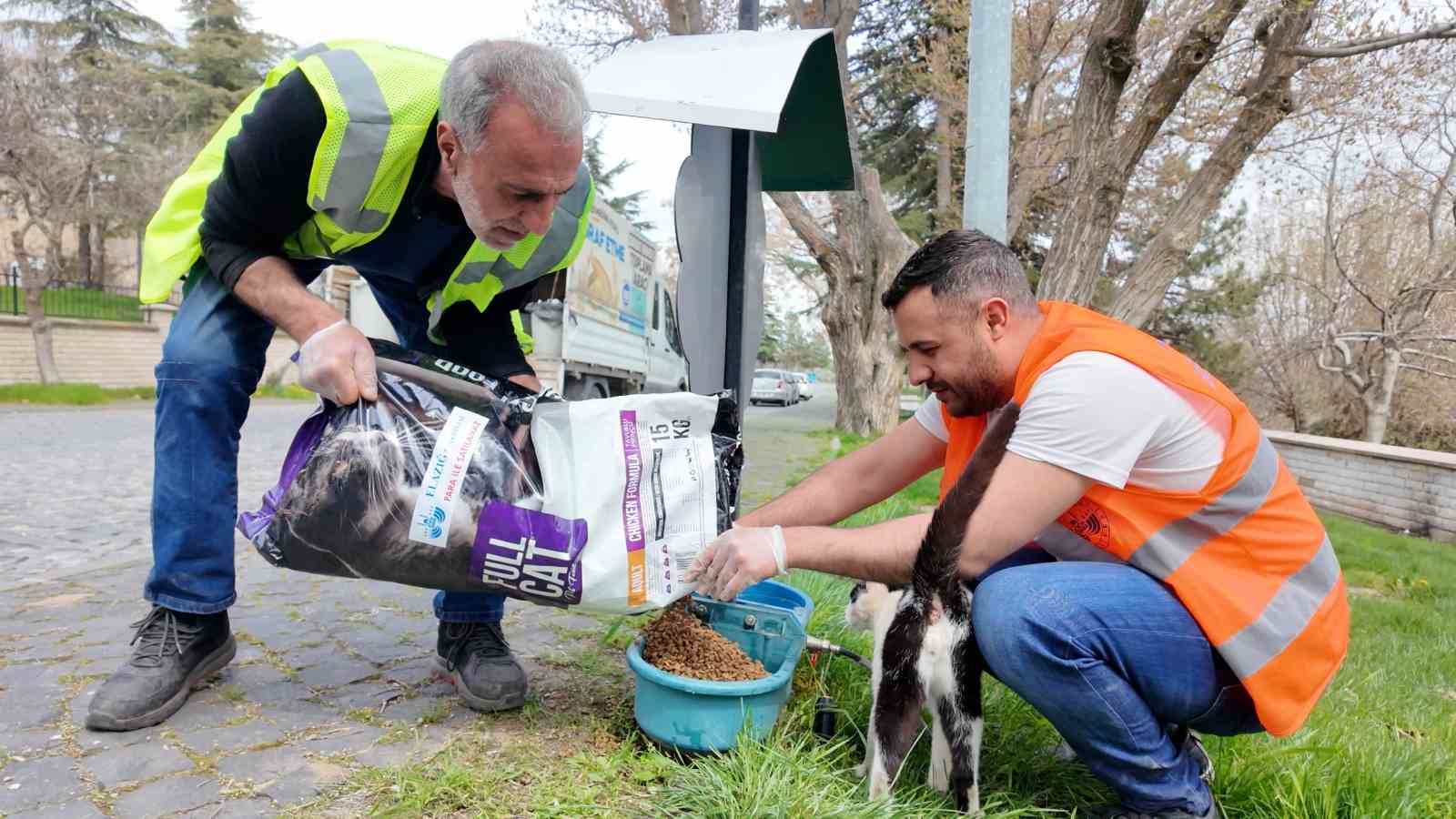 Elazığ’da sokak hayvanlarına mama desteği sürüyor

