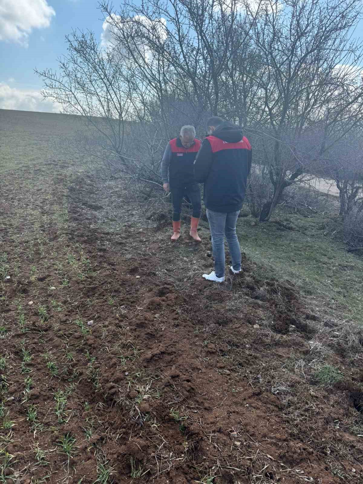 Elazığ’da tarla faresi  sürvey çalışması
