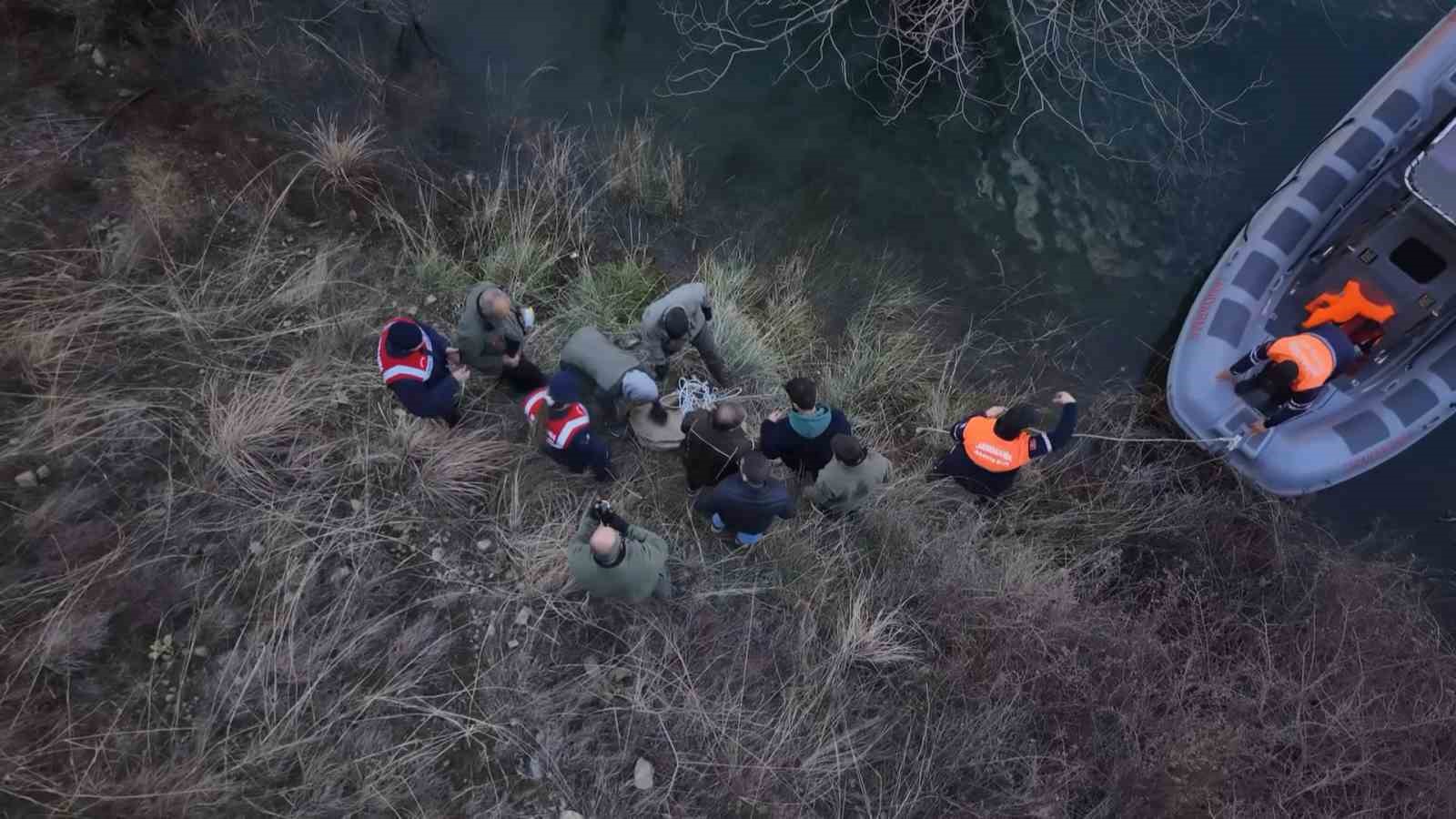 Elazığ’da yaralı dağ keçisi için ekipler seferler oldu
