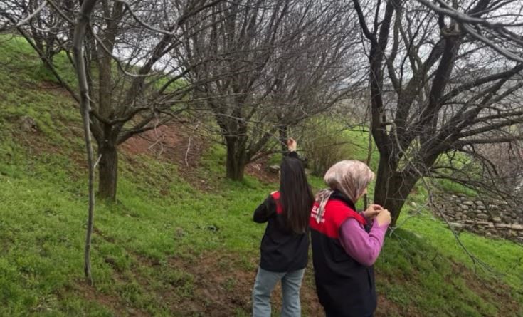 Elazığ’da zirai don mesaisi
