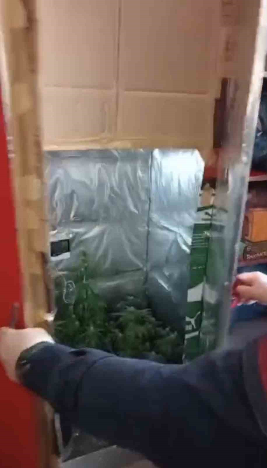 Elbise dolabında özel iklimlendirme sistemiyle uyuşturucu serası
