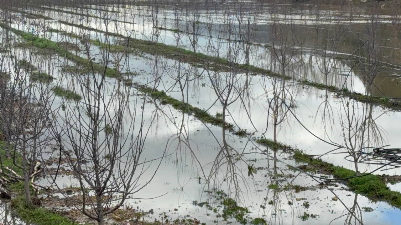 Elmanın başkenti Eğirdir’de yağış bereketi bahçeleri göle çevirdi
Elmanın başkenti Eğirdir’de yağış bereketi bahçeleri göle çevirdi